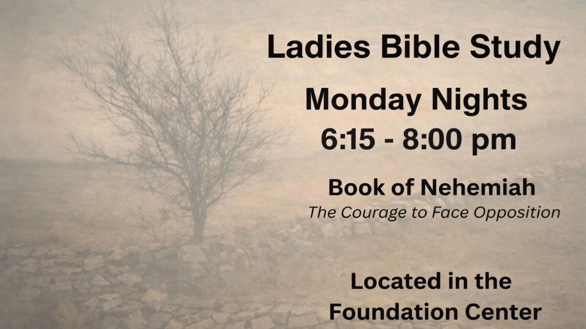 Monday Night Ladies Bible Study 