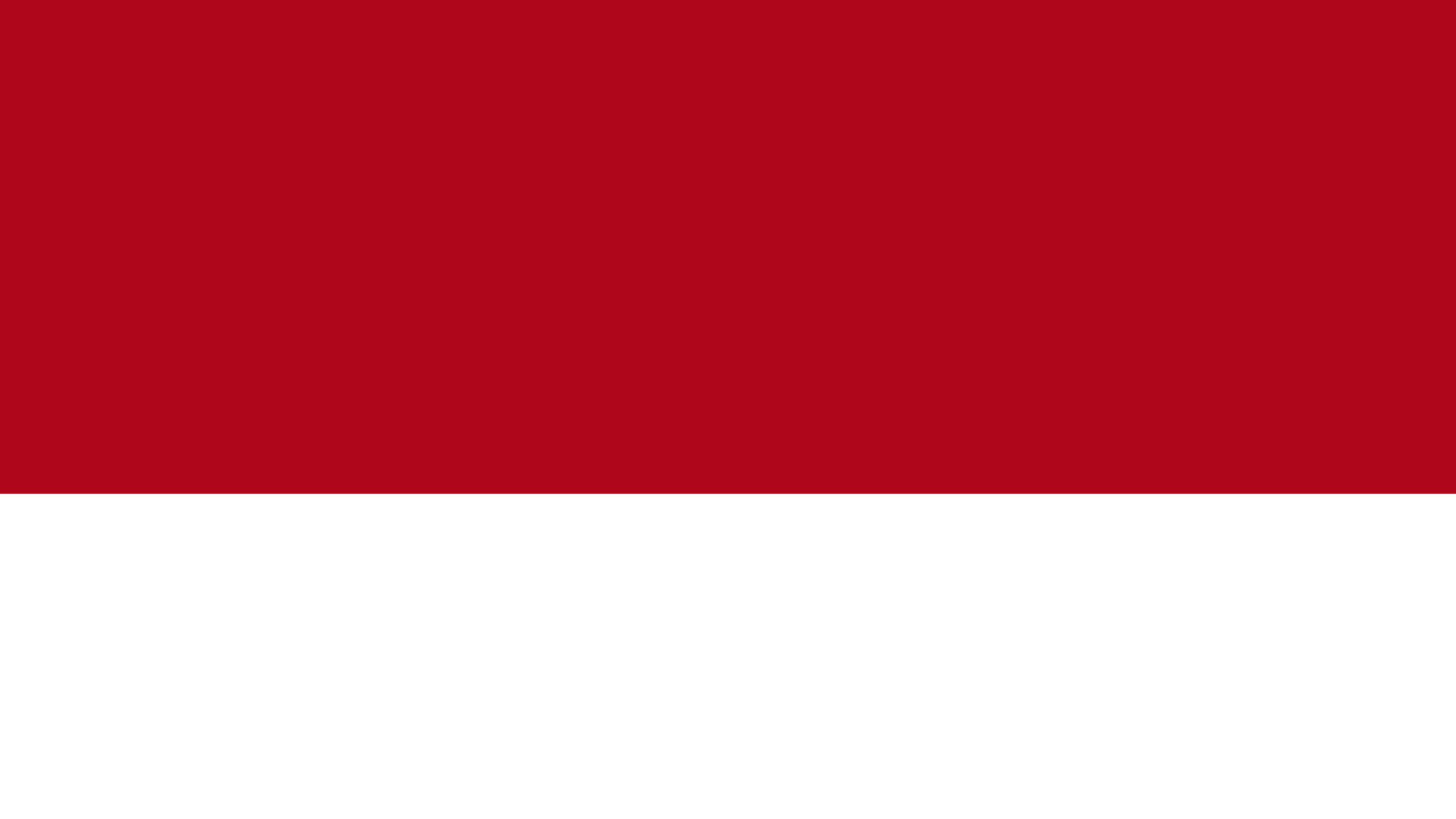 RedVote copy.jpg