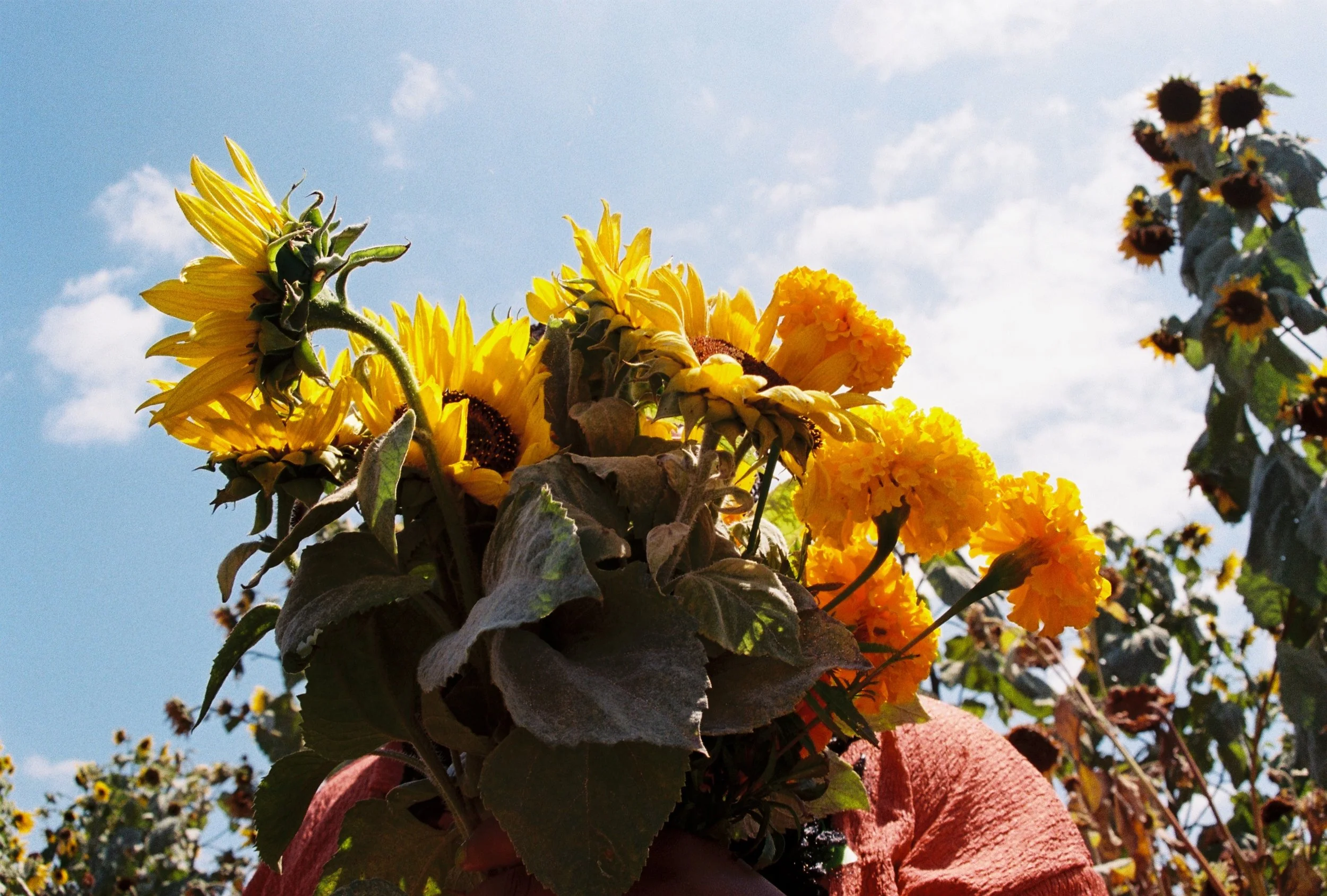 R1-09473-032A.JPG