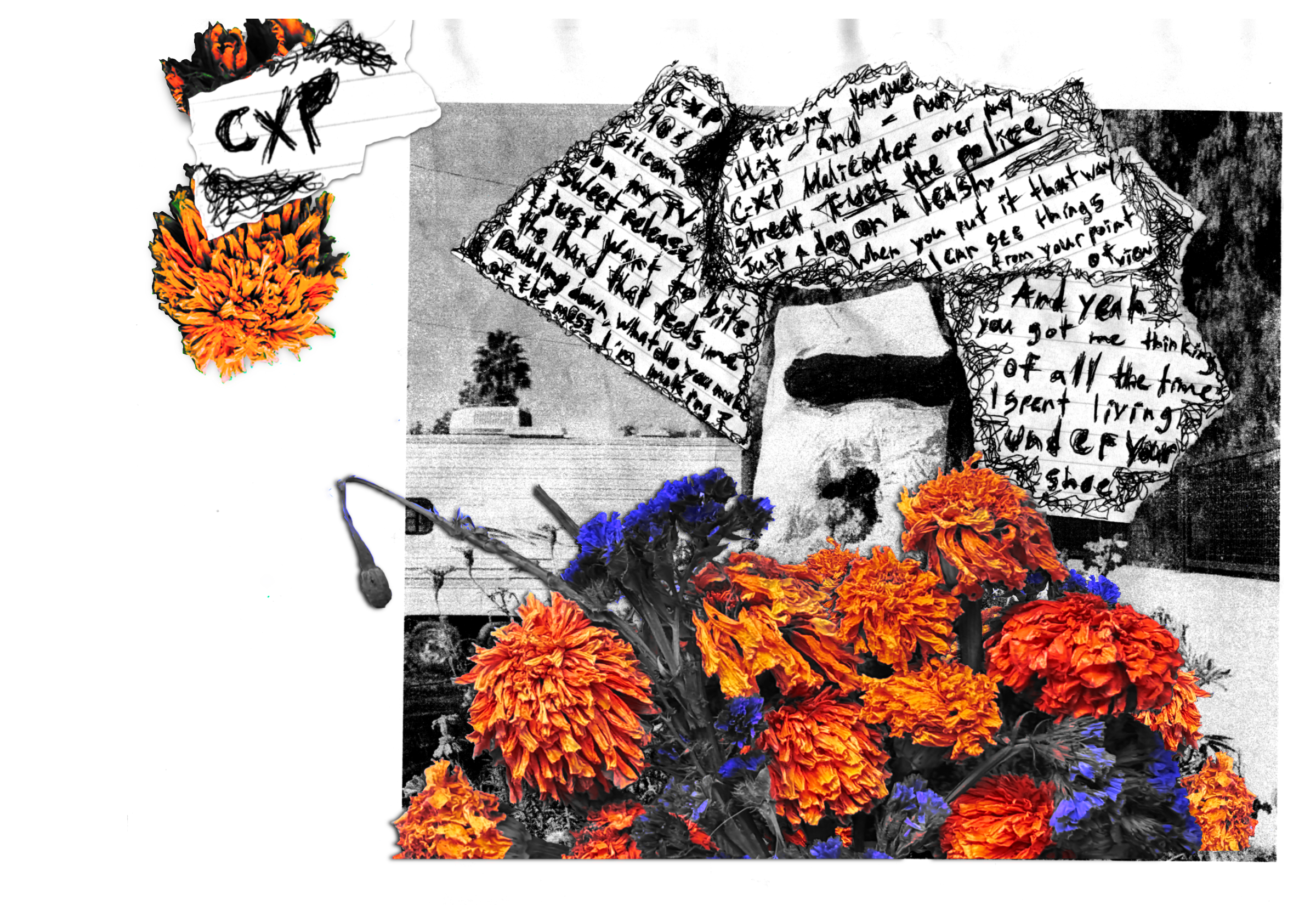 CXP_FINAL_v1.png