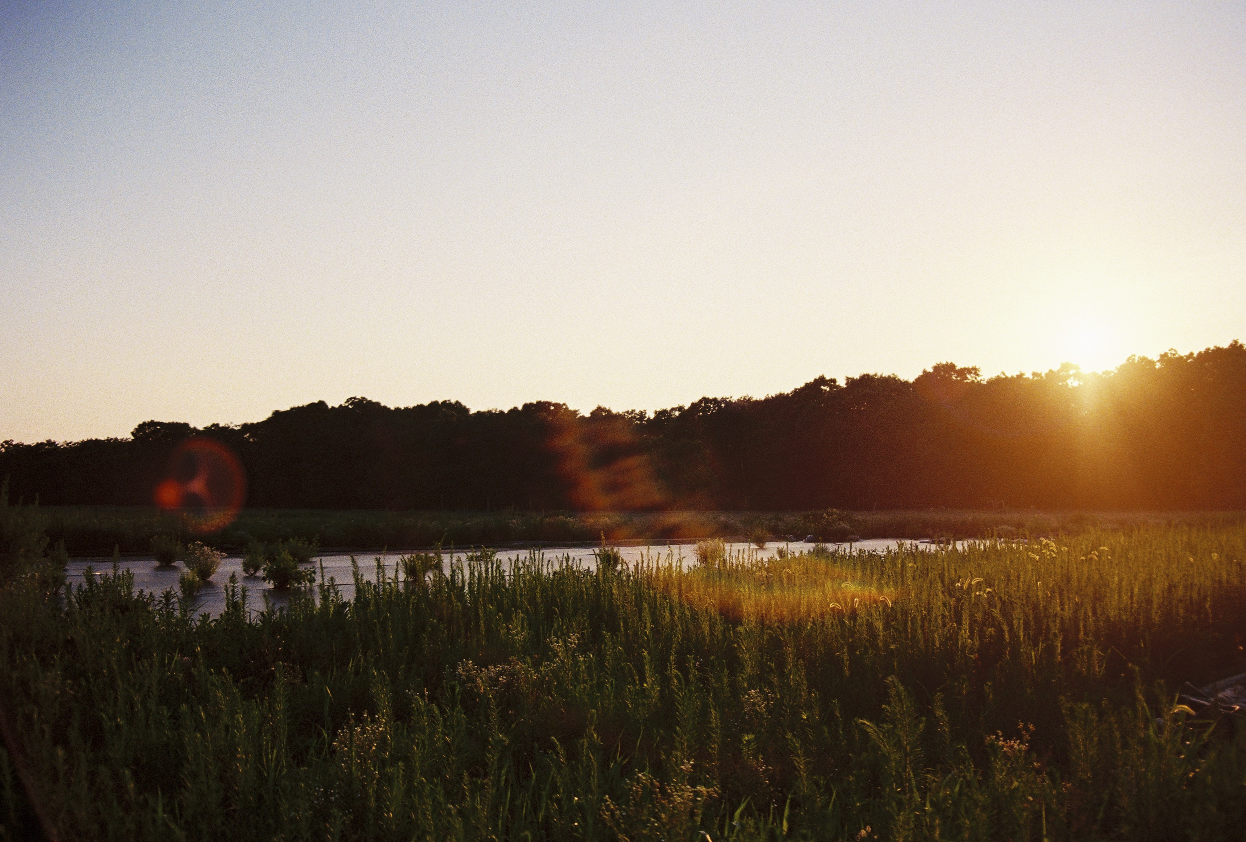 _SUMMER2026_RETOUCHED-23.png