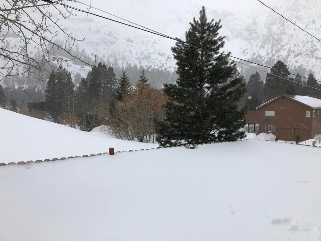 2019.02.16a.jpg