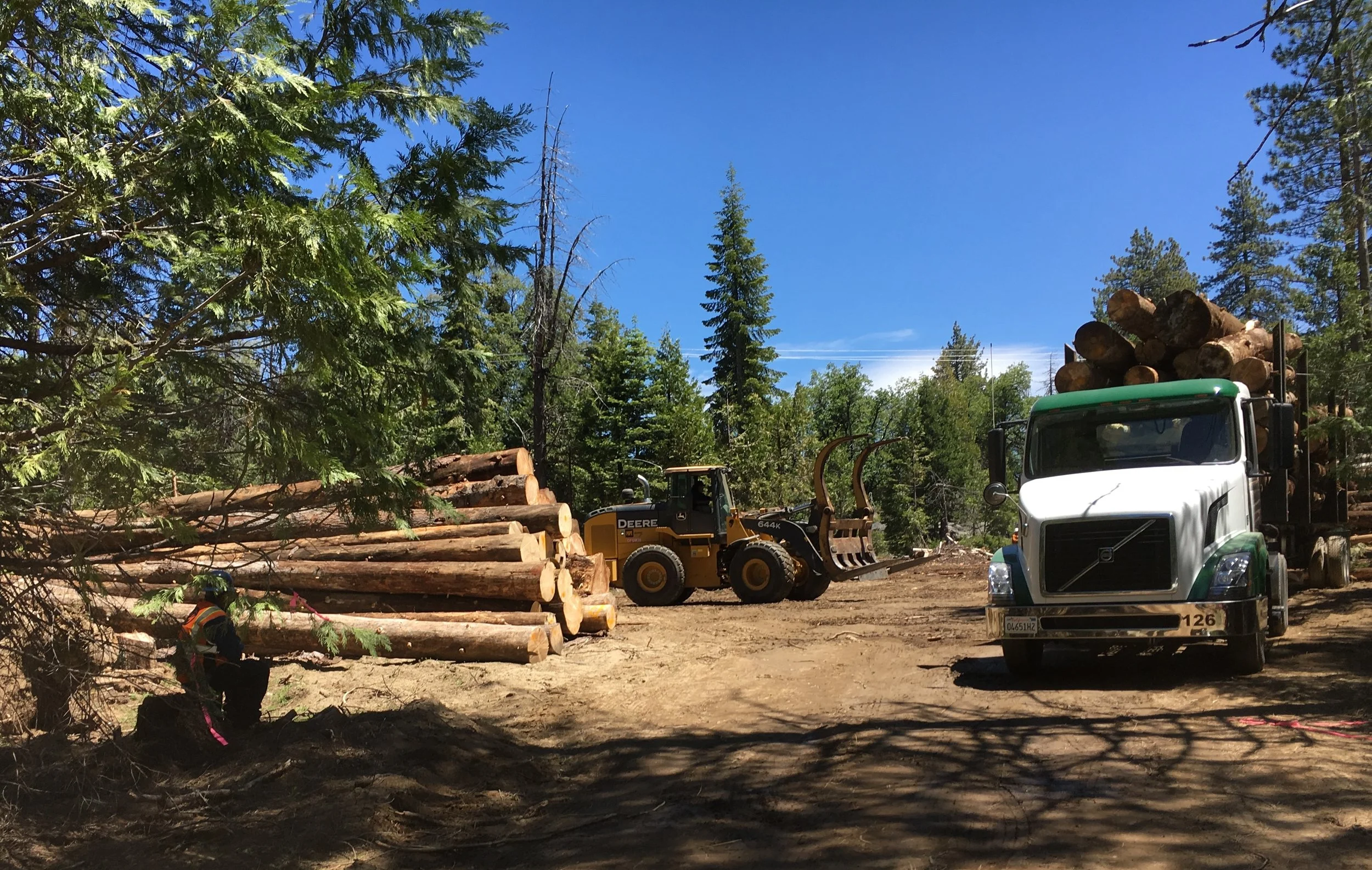 Logging.jpg