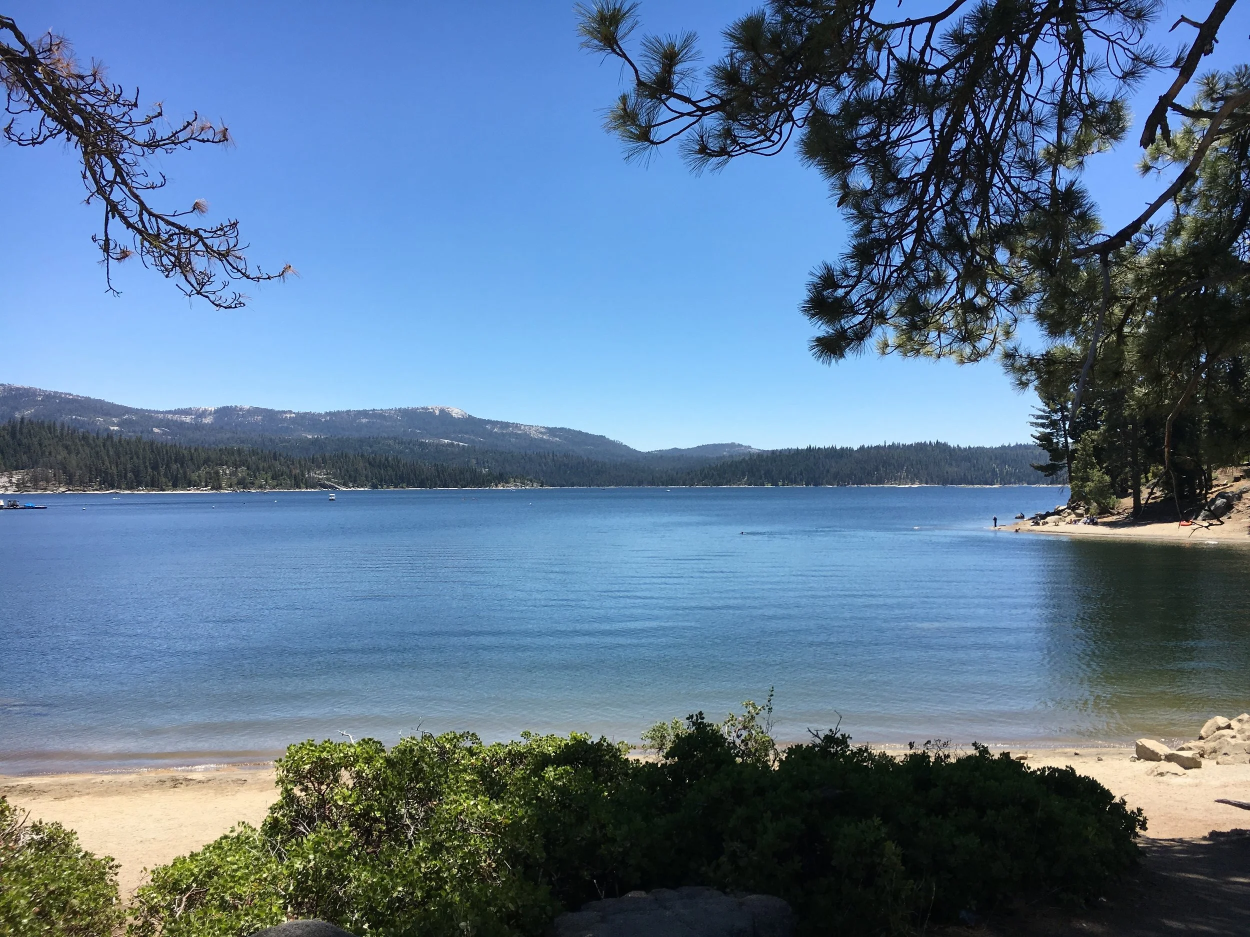 ShaverLake.jpg