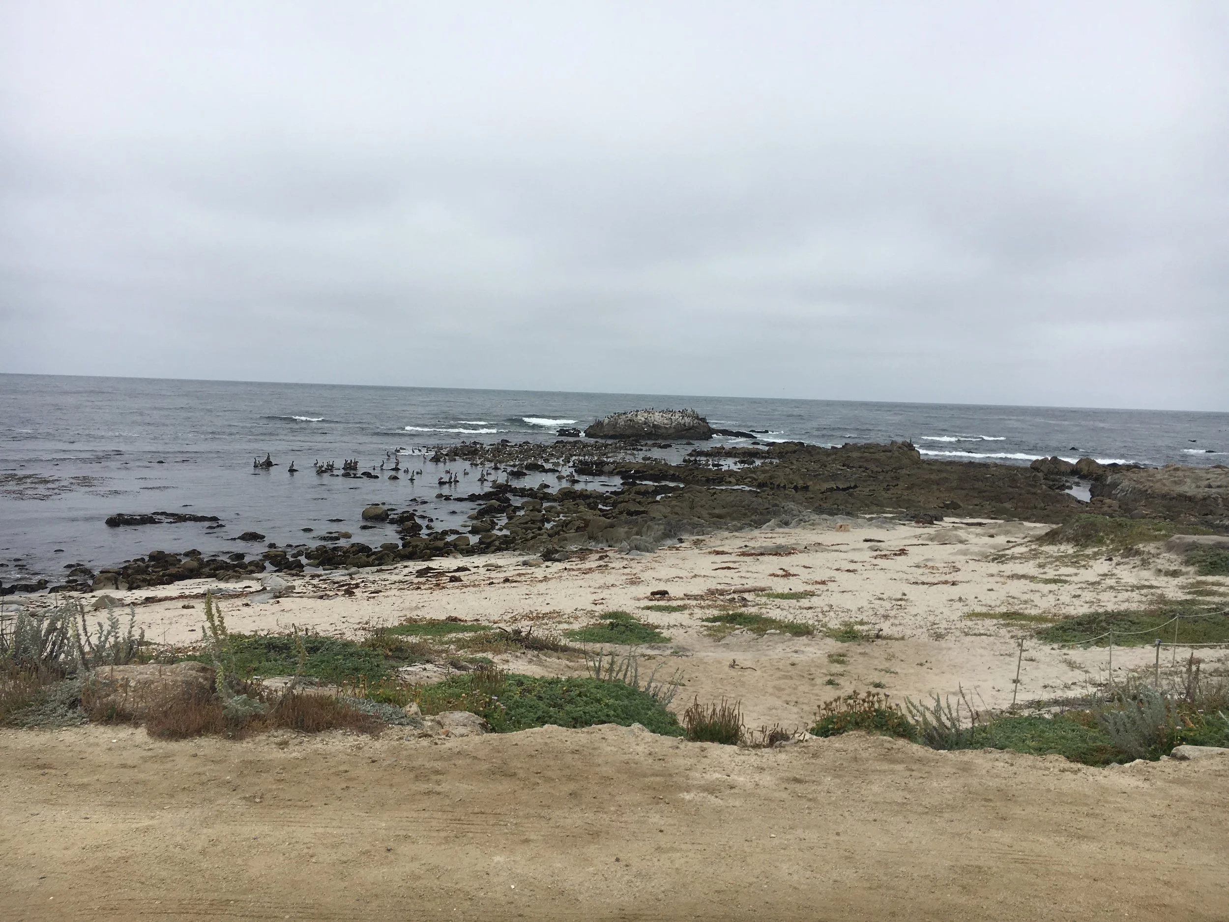 MontereyCoast.jpg