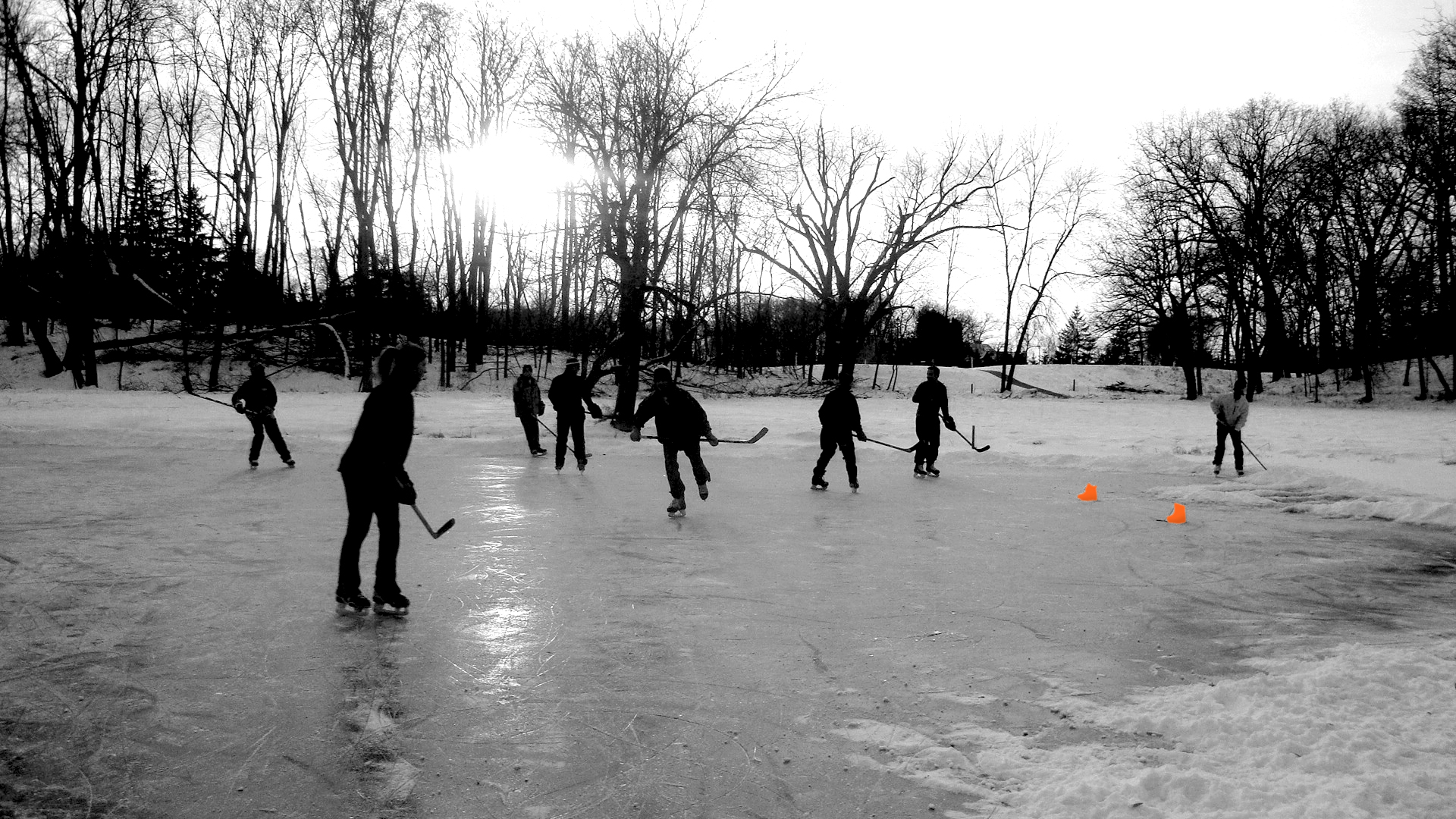Pond-Group-2.jpg