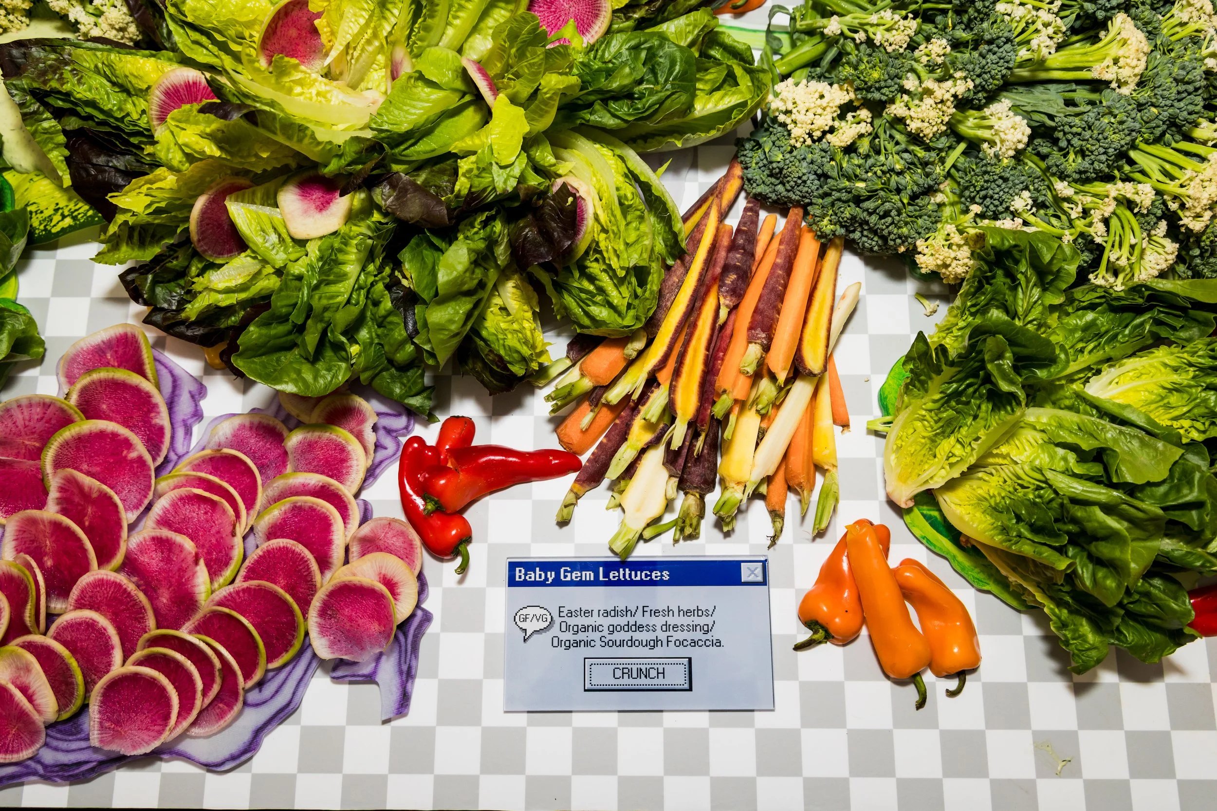 12022025_Wellness Oasis-0106.jpg