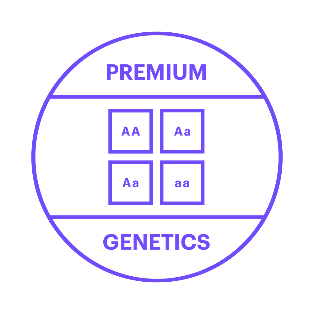PCG_Icon_02.png
