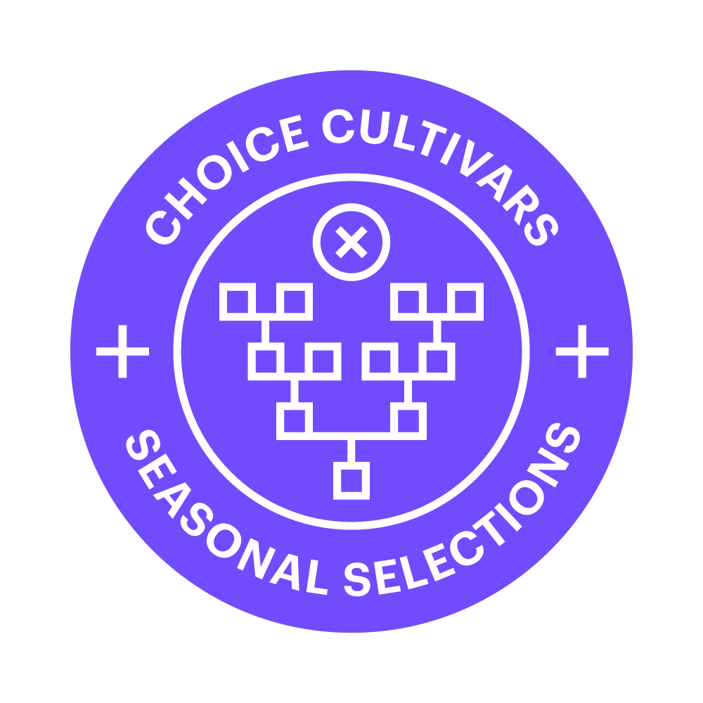 PCG_Icon_03.png