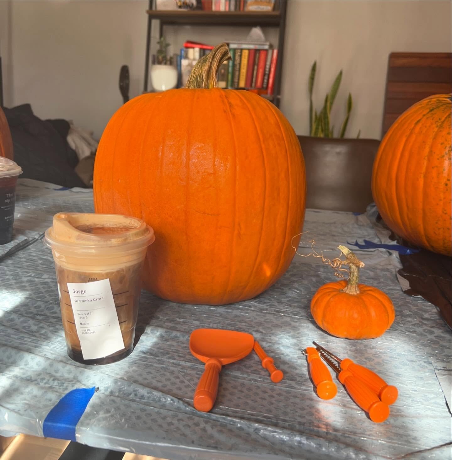Baby&rsquo;s first pumpkin 🎃