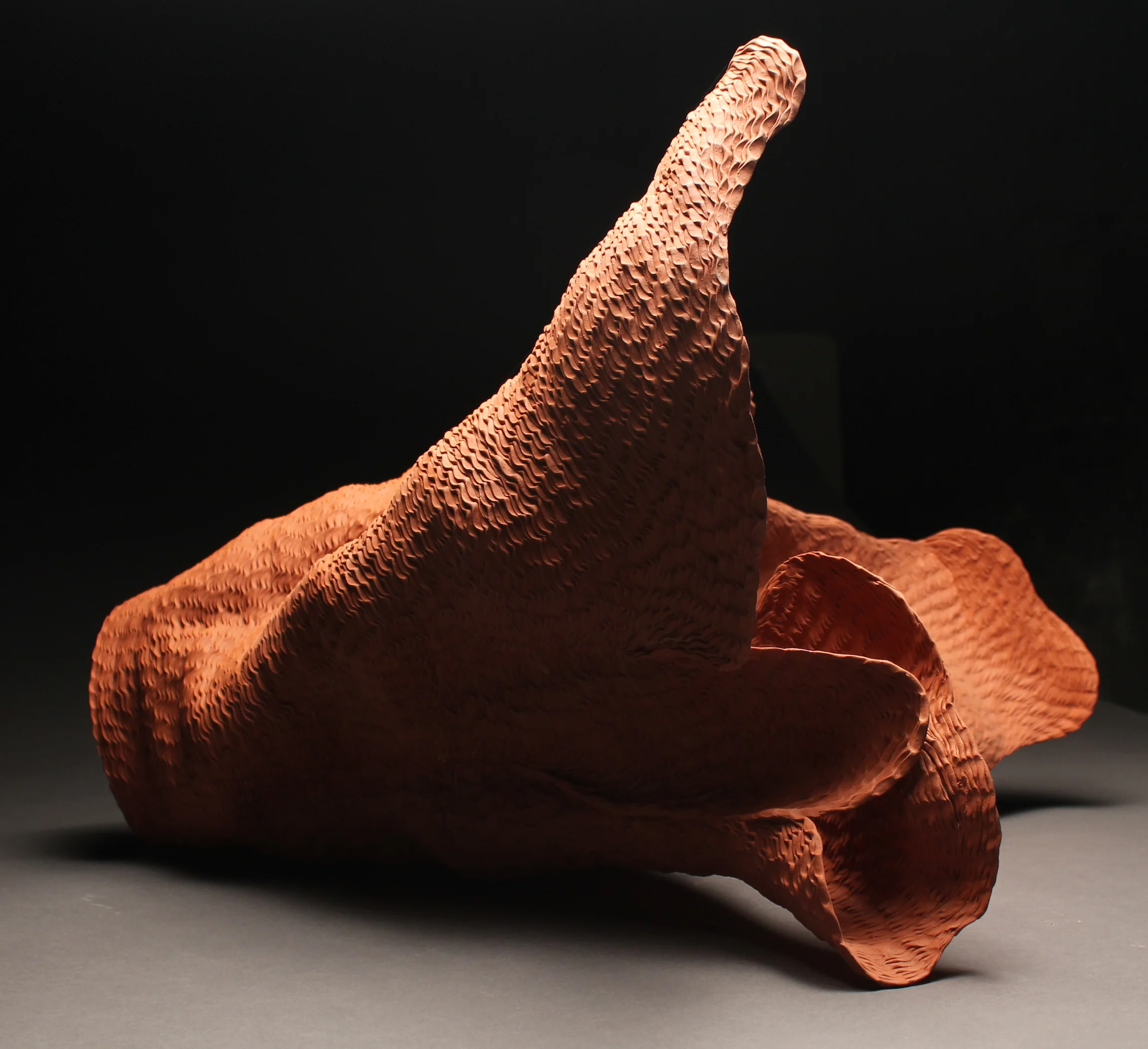 Culbertson_Unfold.jpg