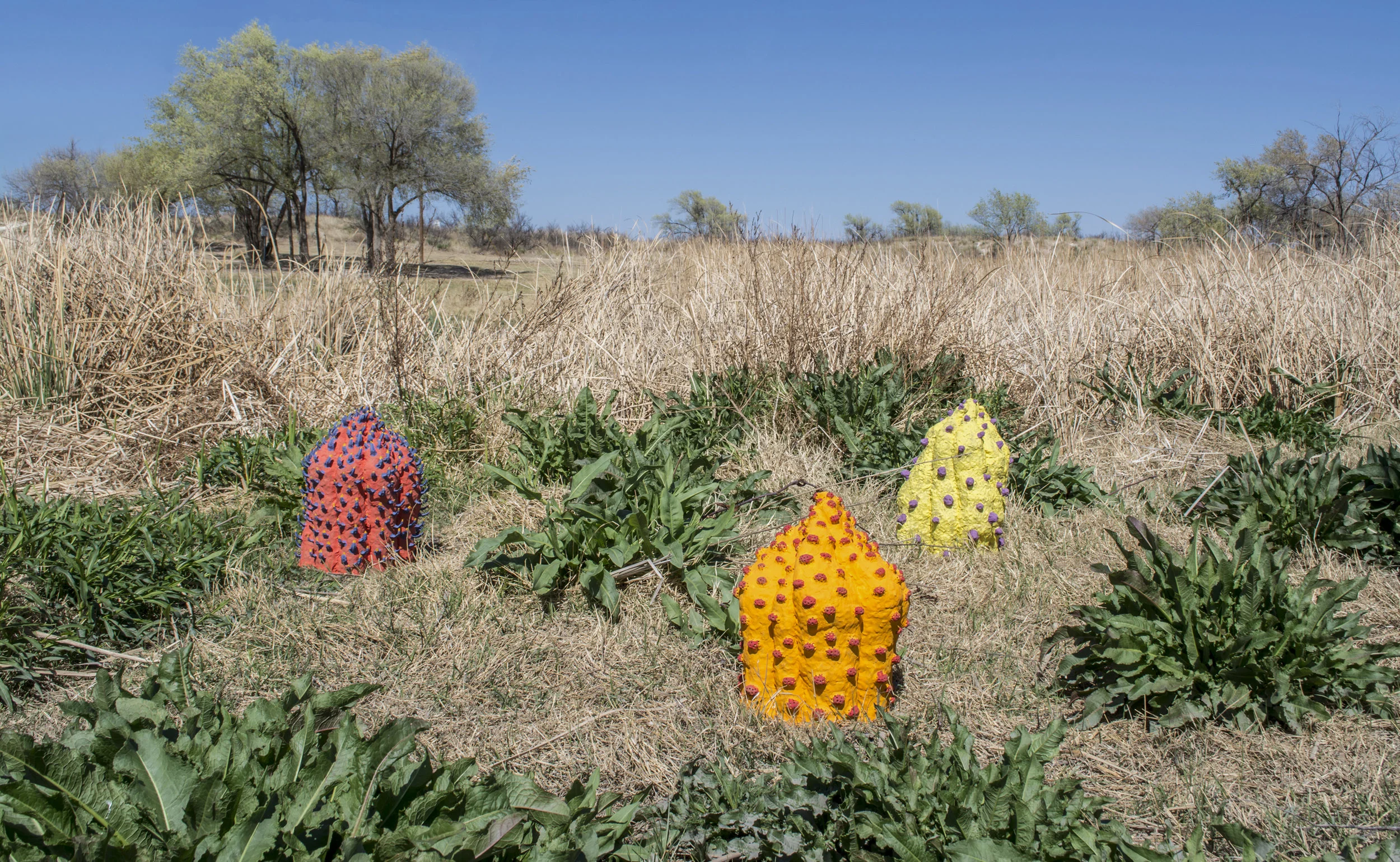 Alien Plant.005.jpg
