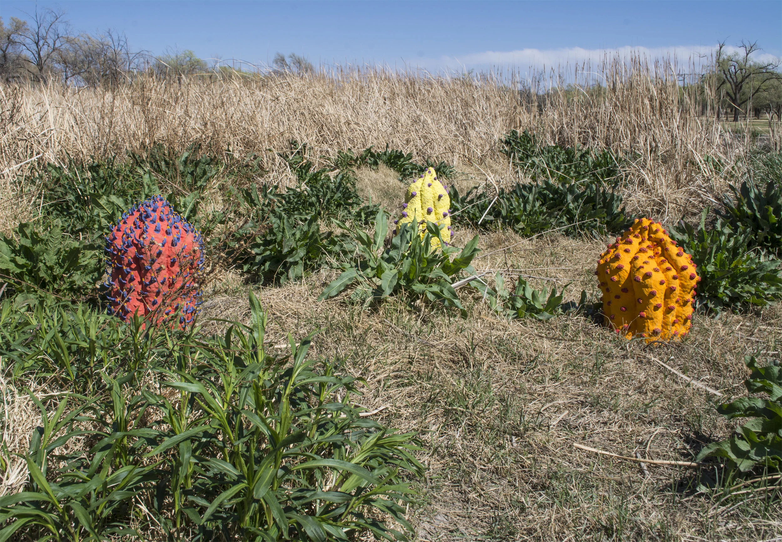 Alien Plant.007.jpg