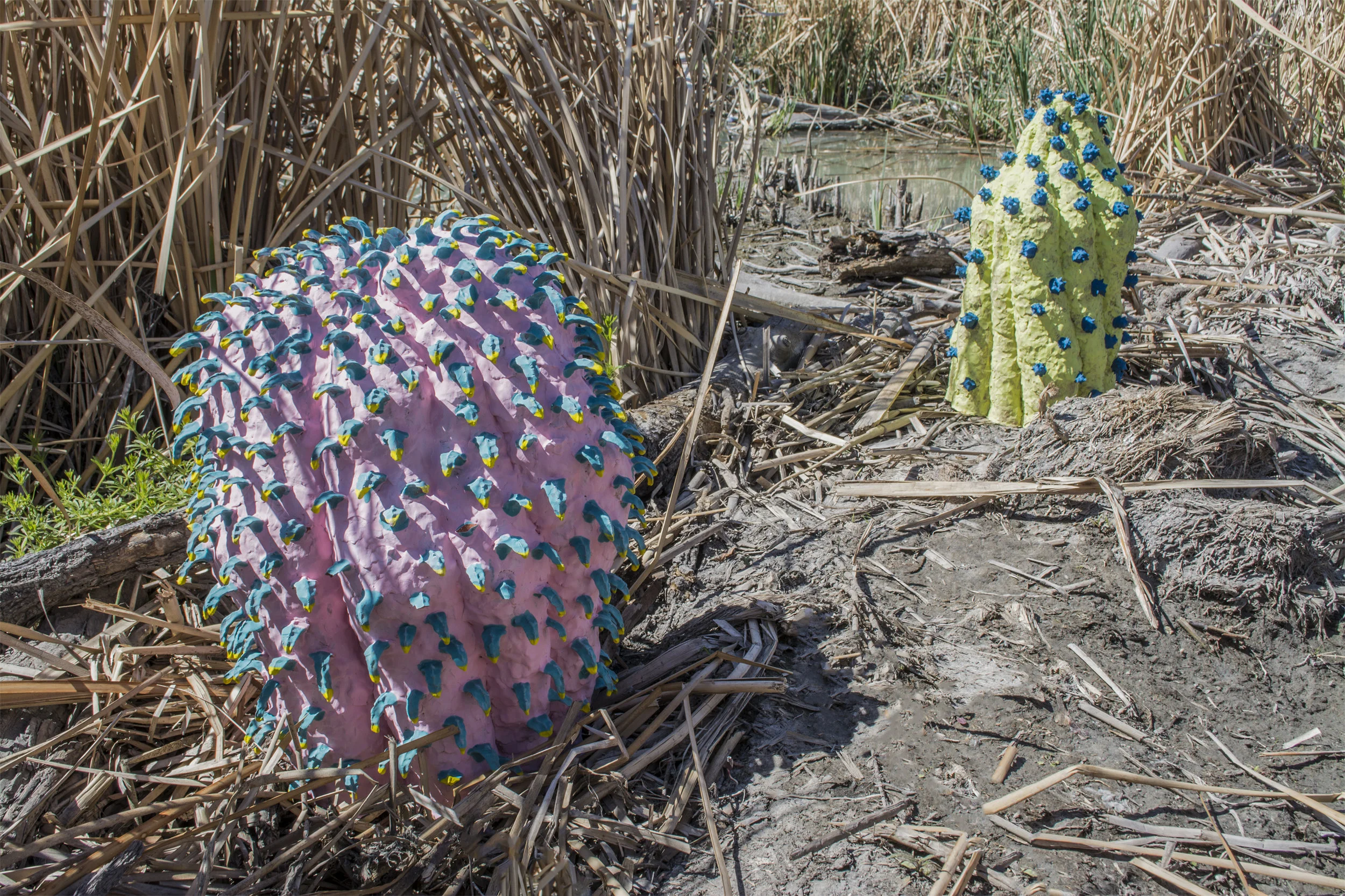 Alien Plant.008.jpg