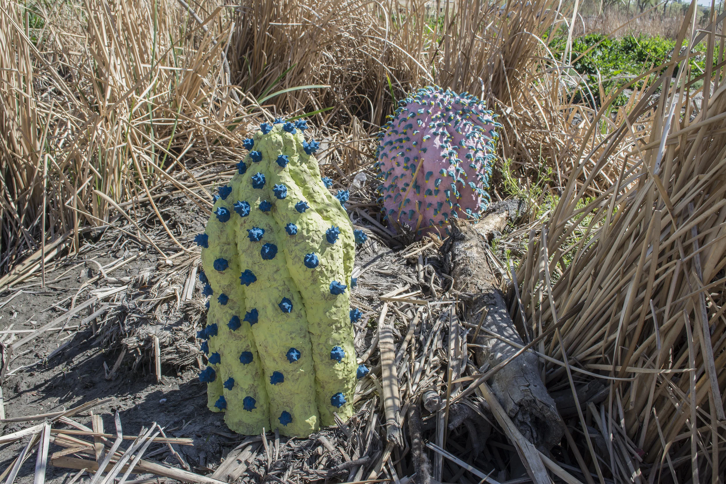 ALien Plant.009.jpg