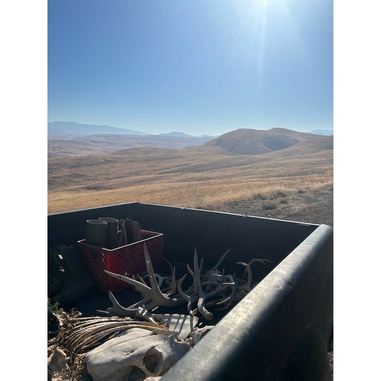 Got to spend some time in the real world. Visiting good friends, bonepicking. Picked up a beautiful cow bison from new buddy @floraandfaunaoddities. 

Explaining/describing my thoughts/feelings on the more remote and far flung parts of the American w