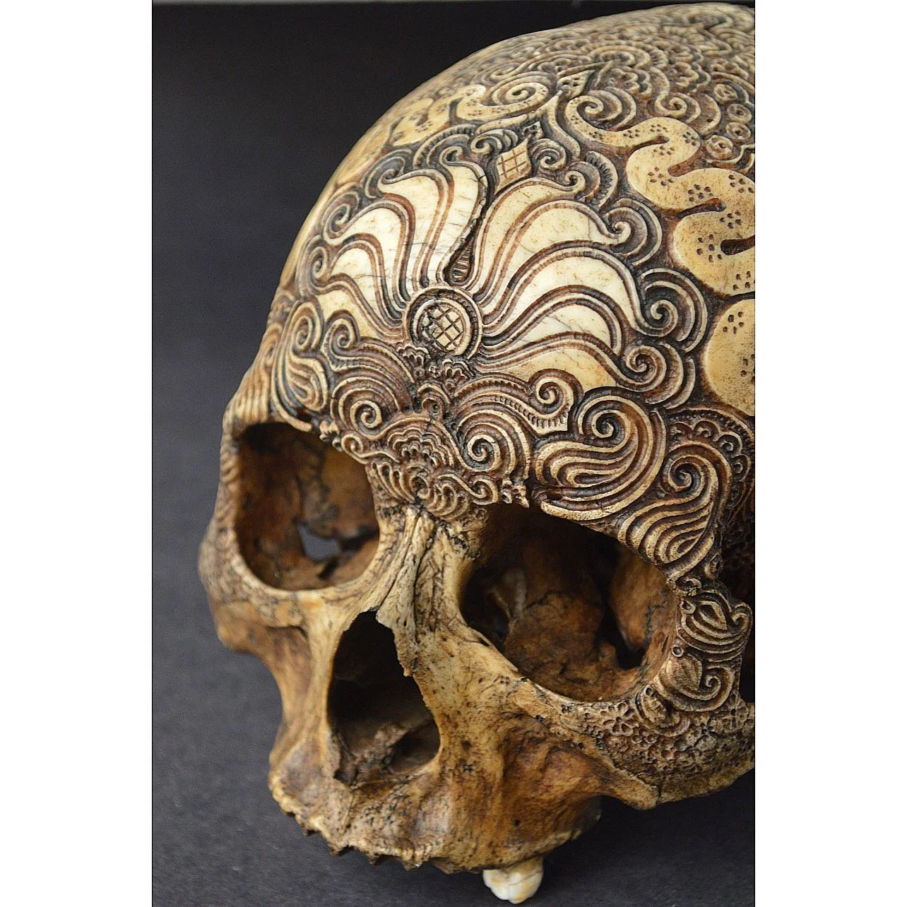 Untitled Human Skull #4

#humanskull #skullart #artskull #realhumanskull #realhumanskullart #carvedskull #skullcarving #mementomori #jasonborders #ink #walnut #bone #bones #bonecarving #meditation #trance #worship #flowstate #honor #arcane #timelessa