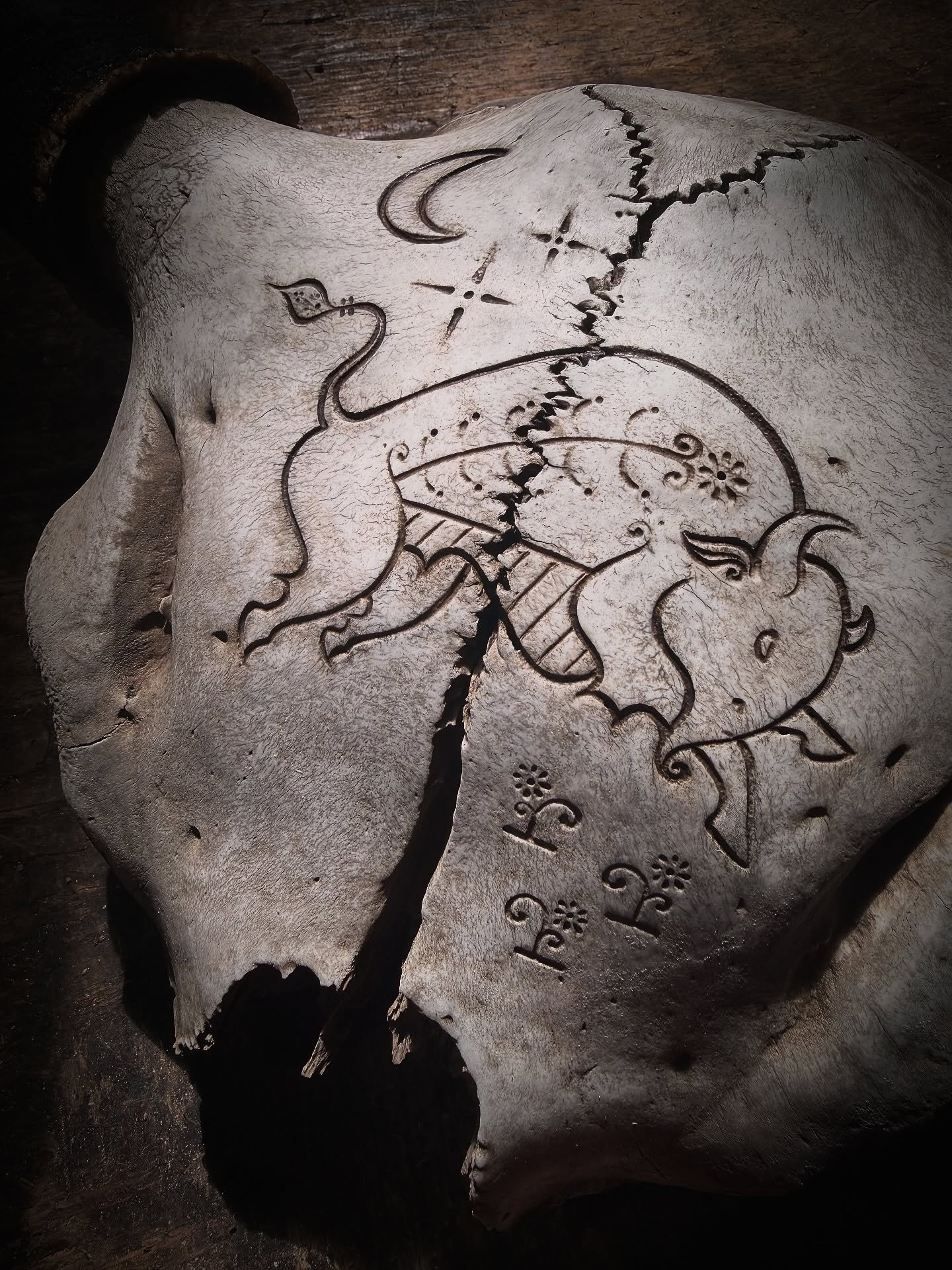 Gift for a bison rancher.

#bison #skull #skullcarving #linework #carvedskull