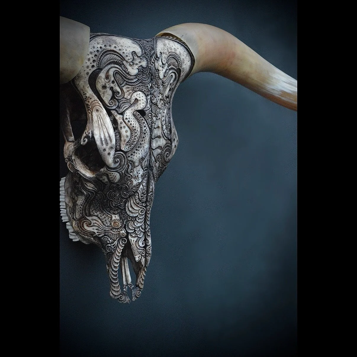 &ldquo;Stabilized Honey&rdquo;

61&rdquo; x 20&rdquo;

May 9 @brassworksgallery with @alexreisfar 

Carved longhorn skull, walnut ink, beeswax

#carvedskull #bonecarving #selfhypnosis #jasonborders #beautifulbizarre