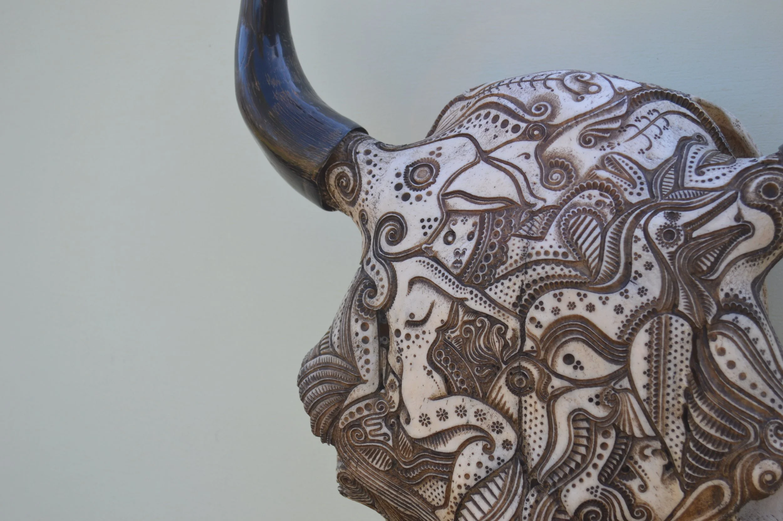 Borders-skull-art-antler-gallery.JPG