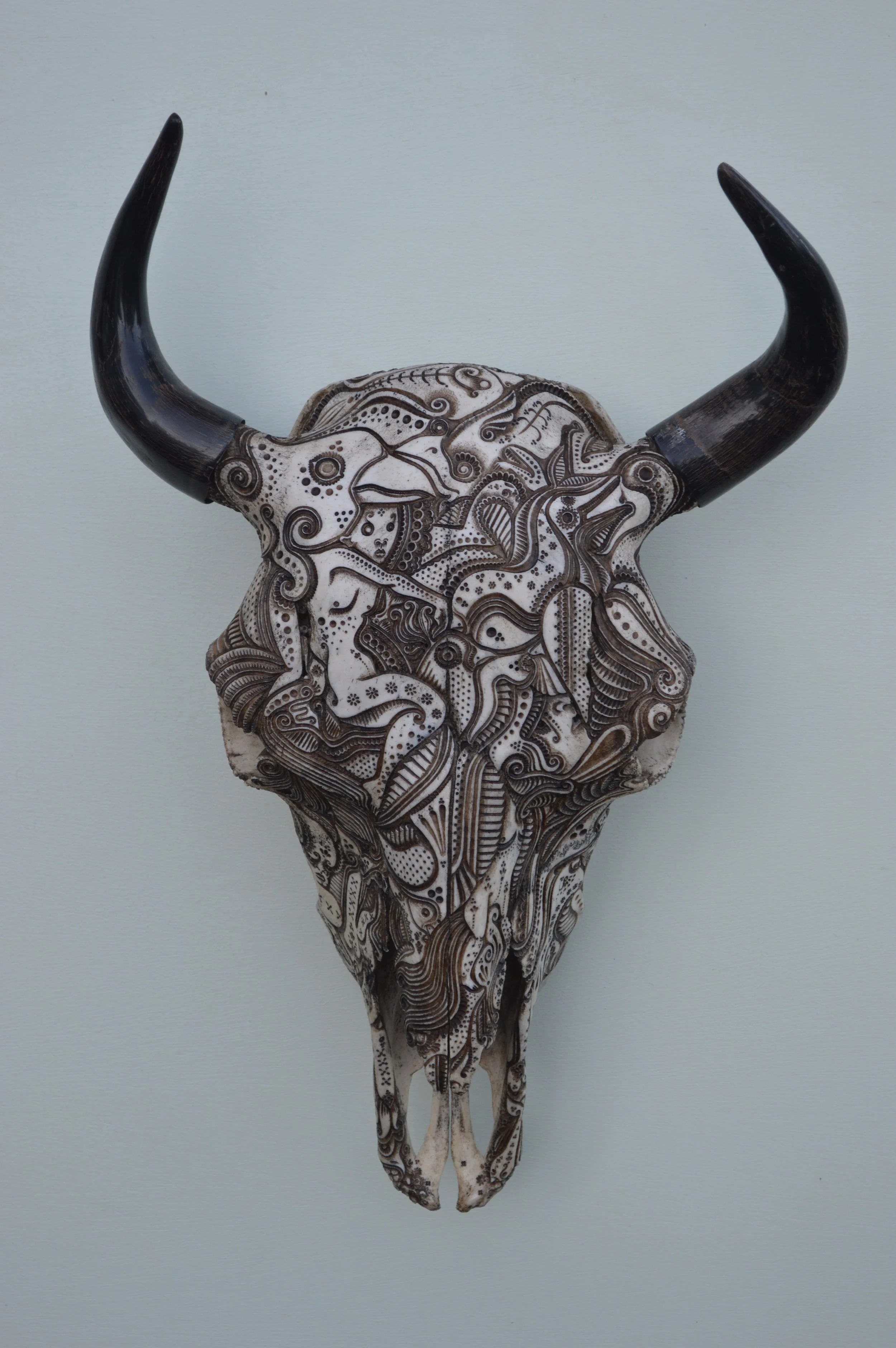 Art-skull-antler-Jason-borders.JPG