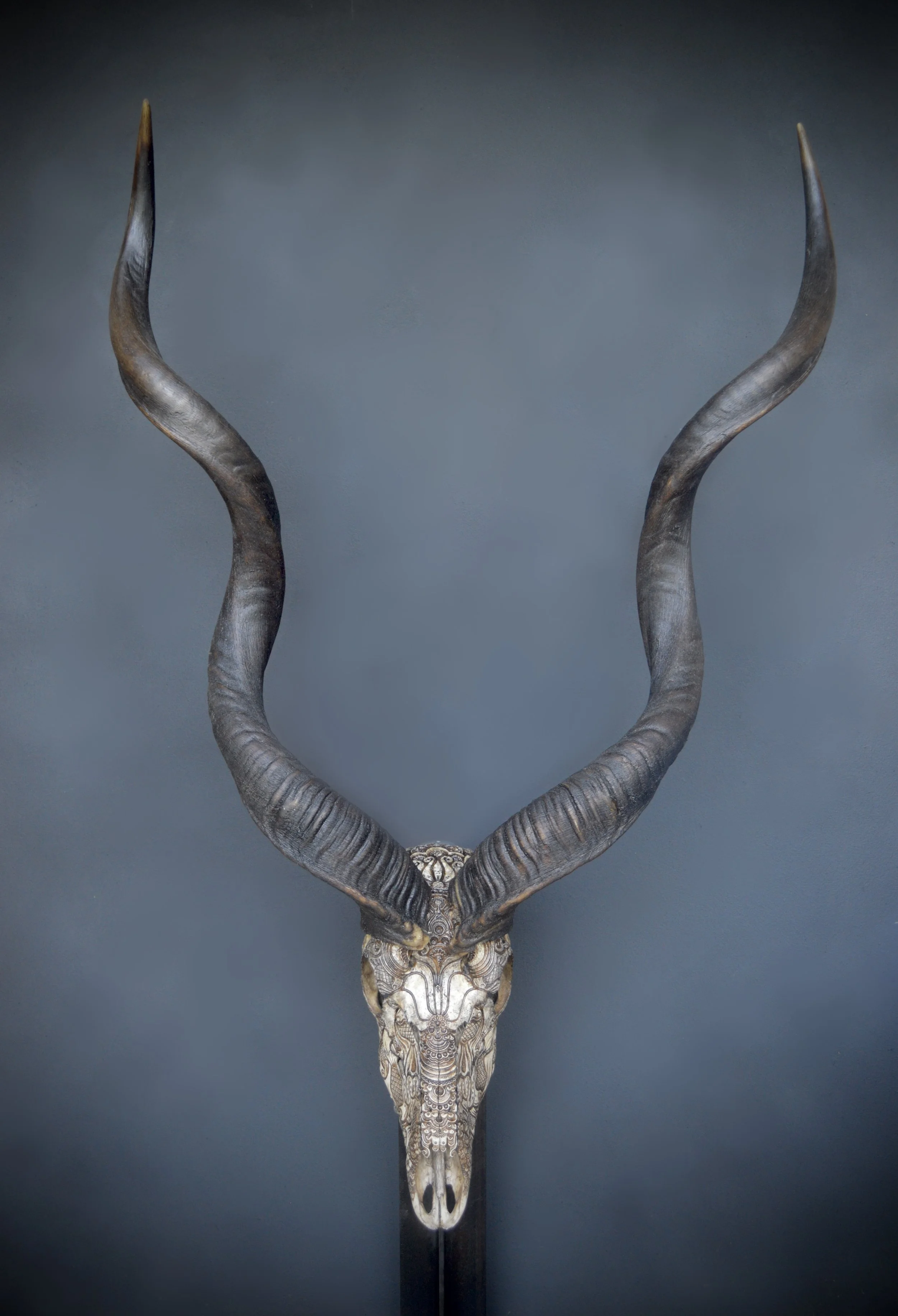 Kudu-skull-borders-Jason.jpg
