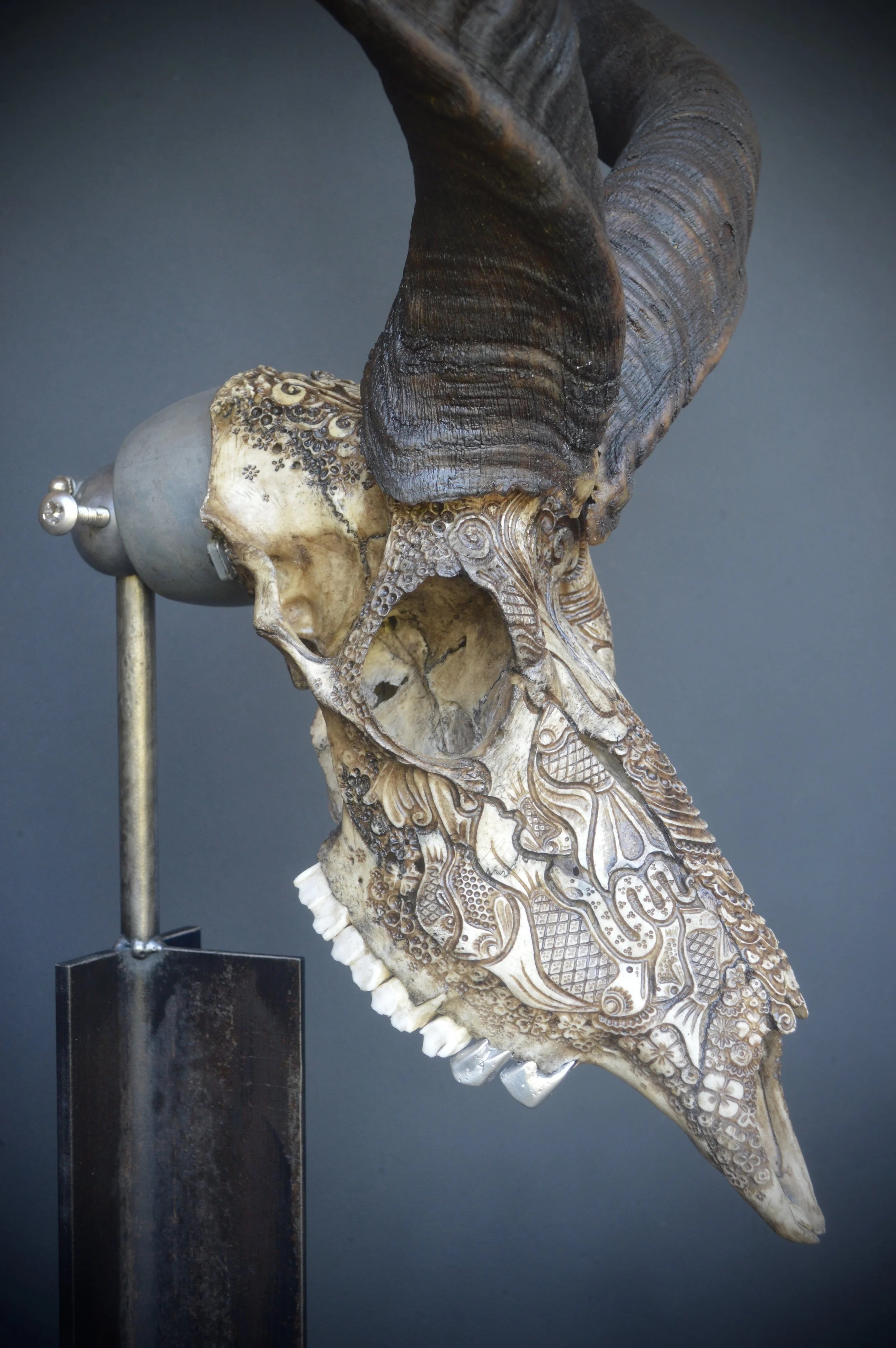 Skull-carved-art-bone.jpg