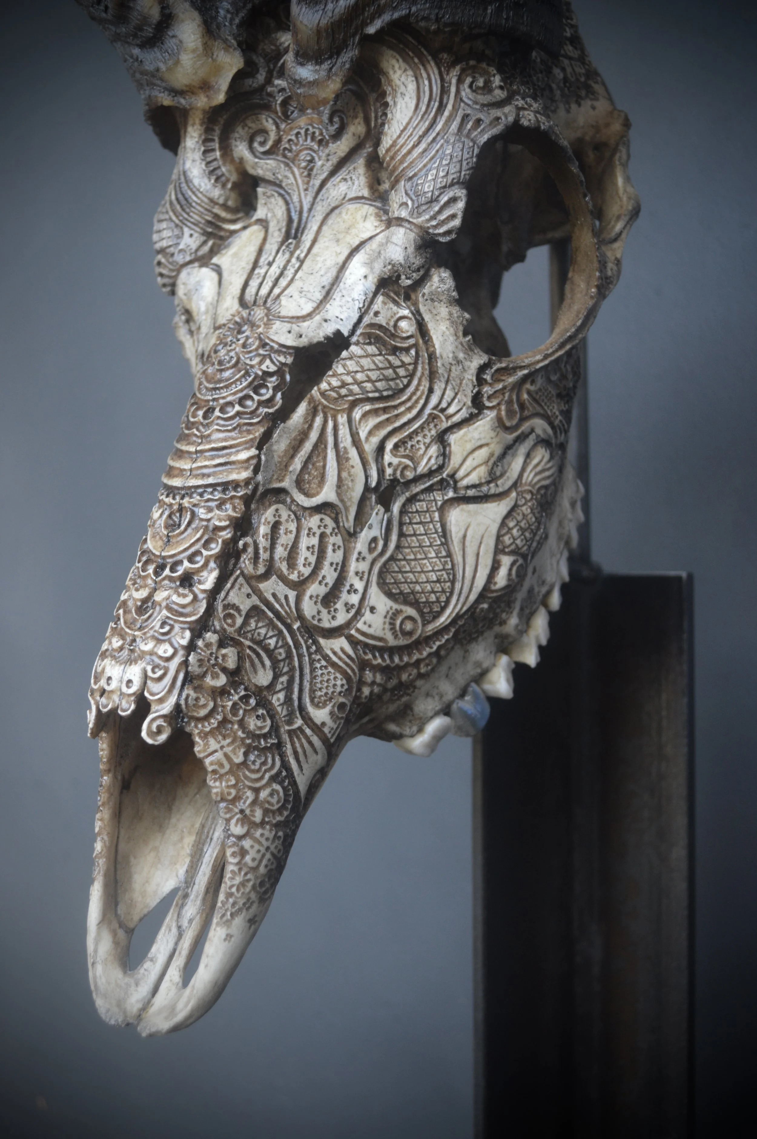 Skull-carving-art-borders.JPG