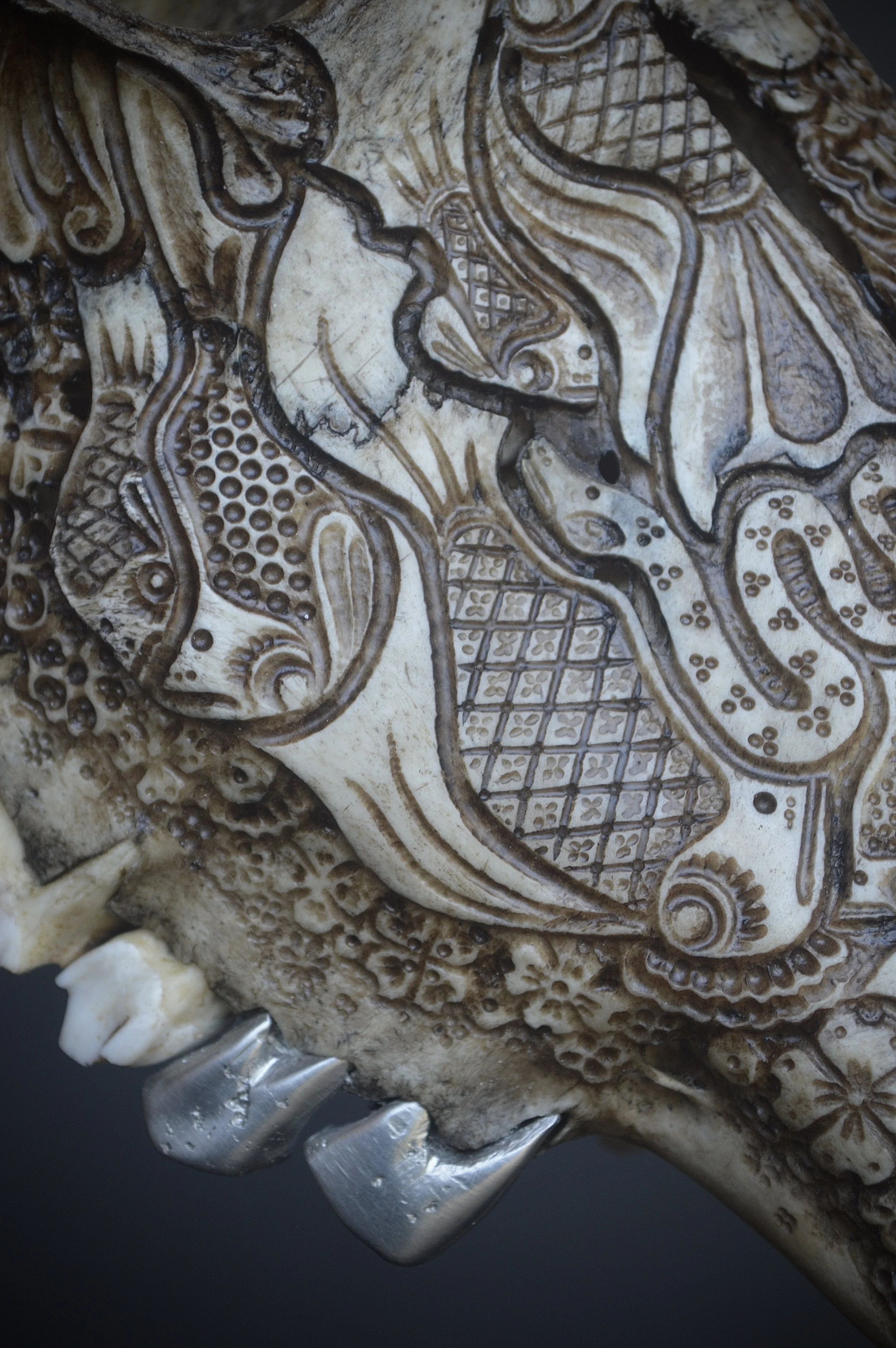 Grill-teeth-bone-skull-art.jpg