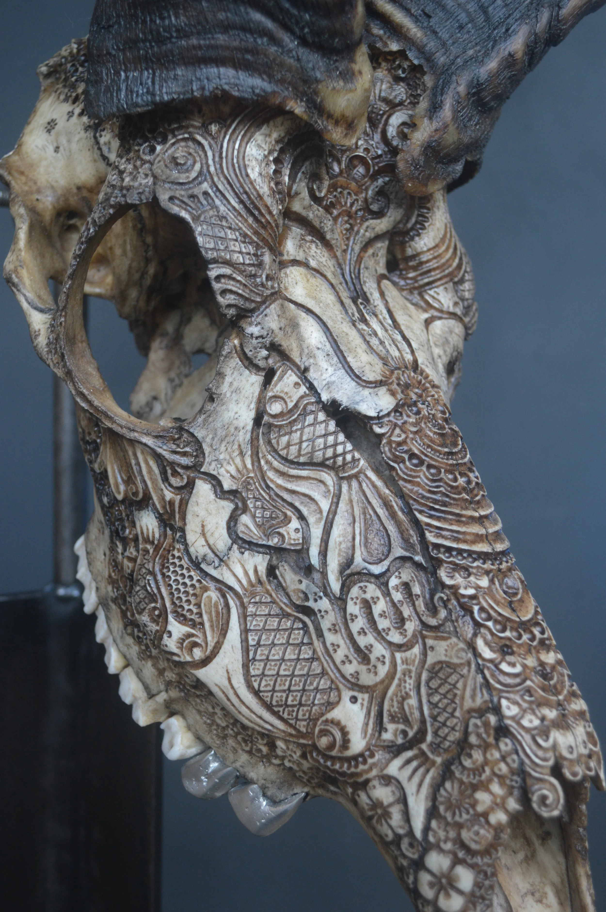 Skull-art-carving-bones.JPG