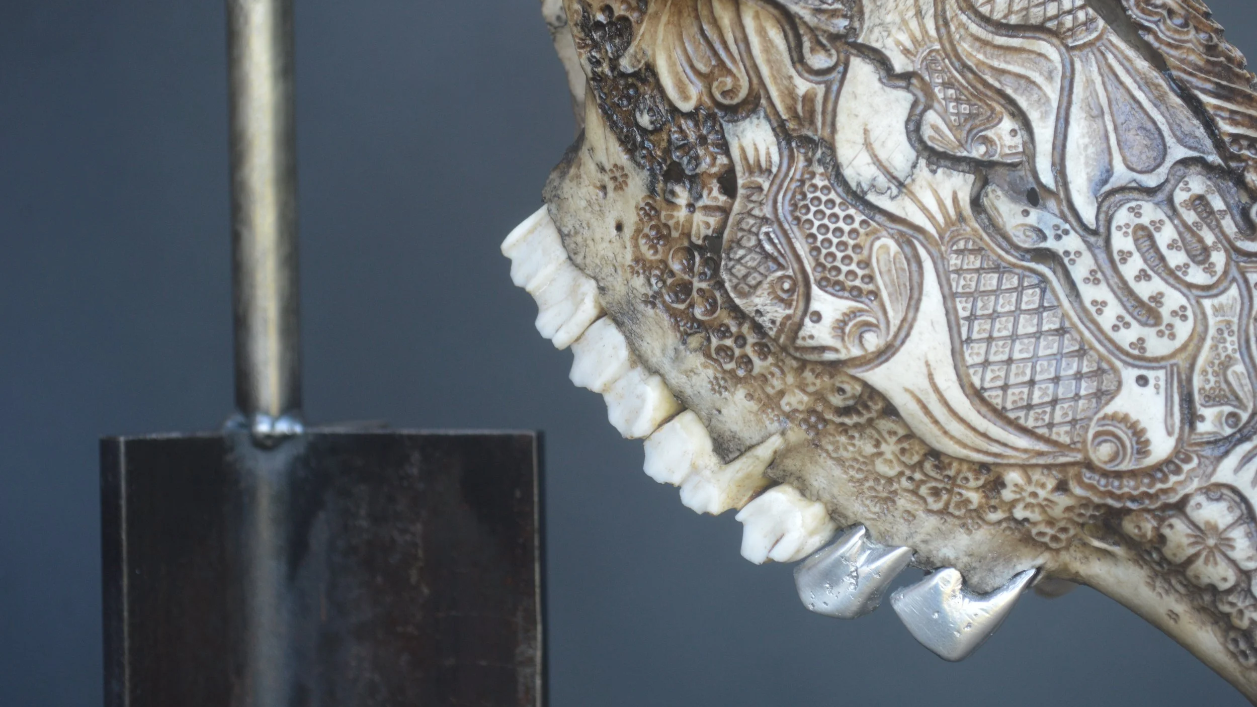 Teeth-skull-sculpture-art-bone.png