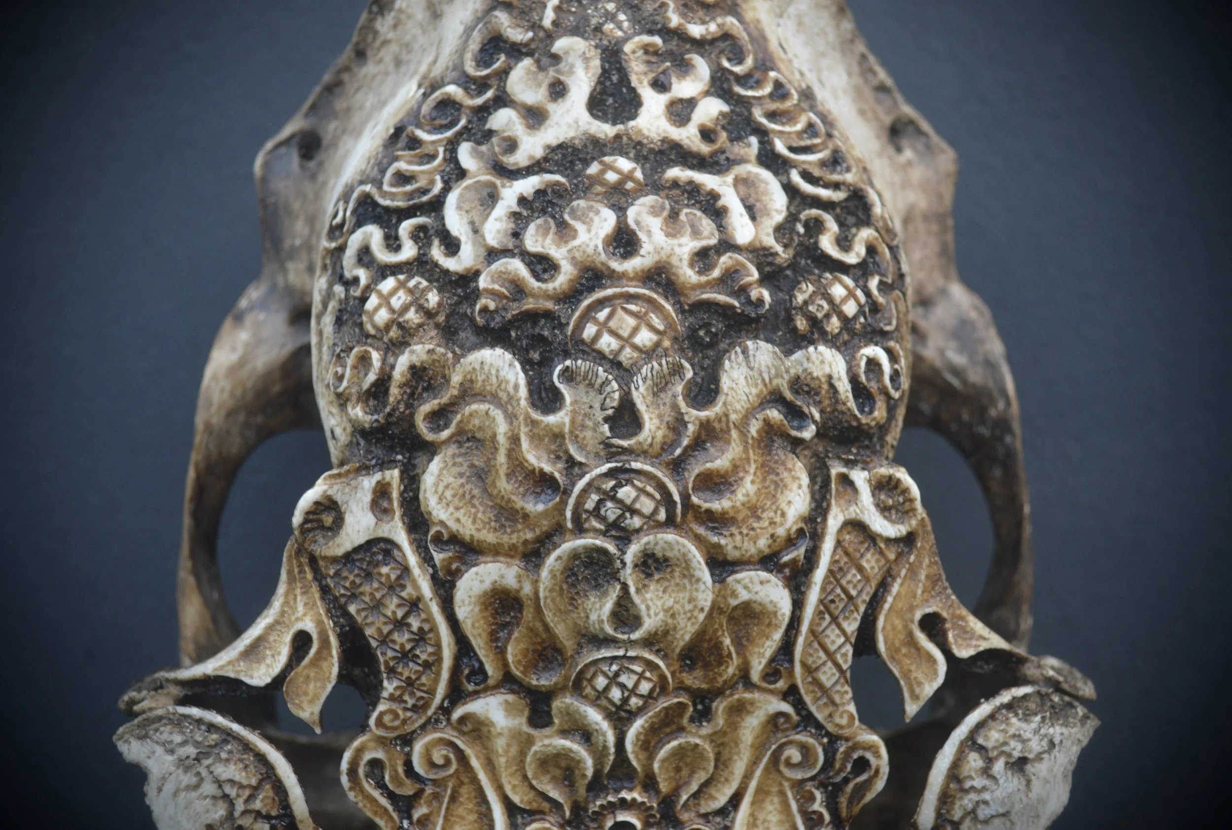 Elk-skull-art-carved-bones.jpg