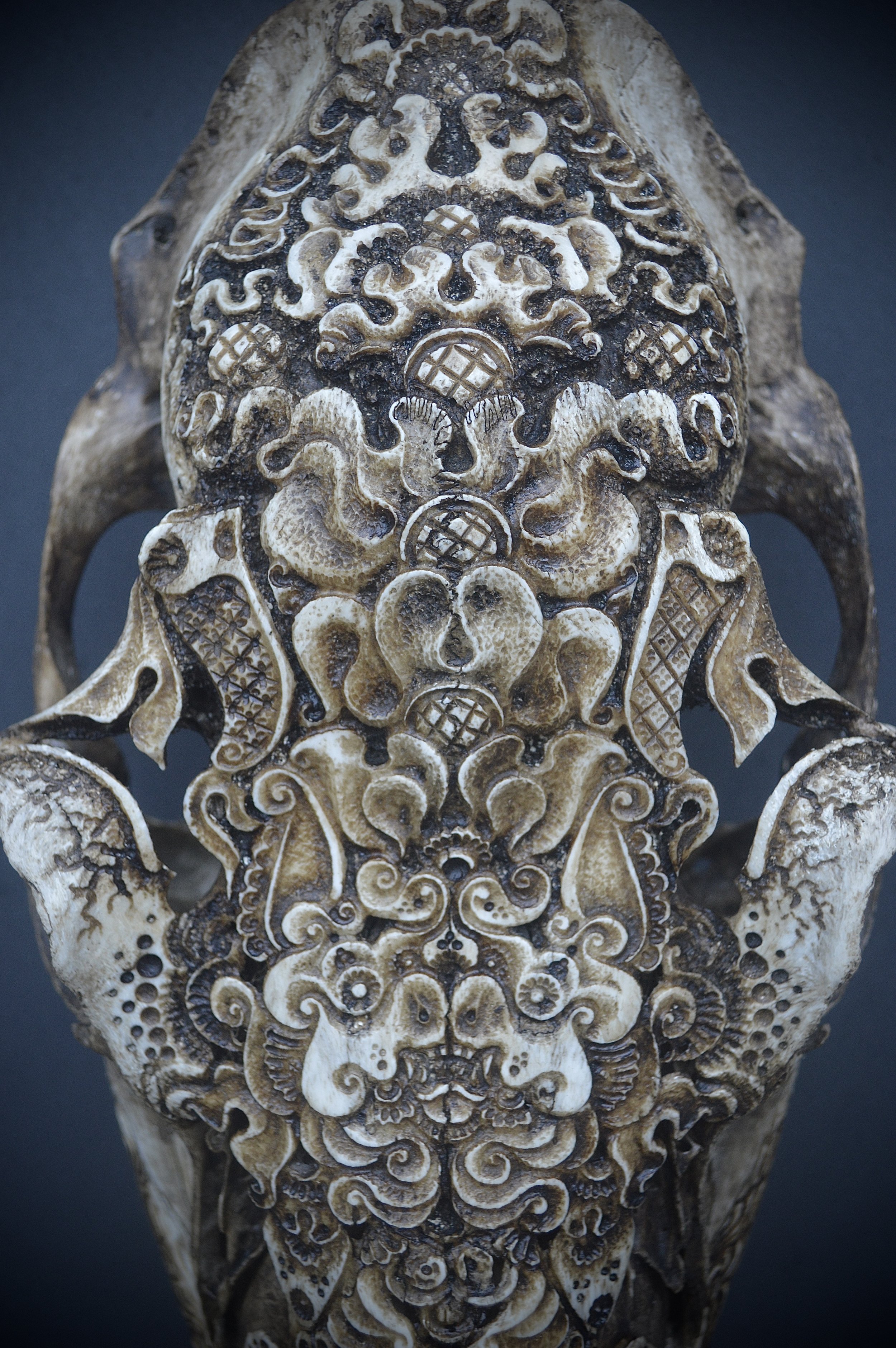 Carved-bone-sculpture-borders.jpg