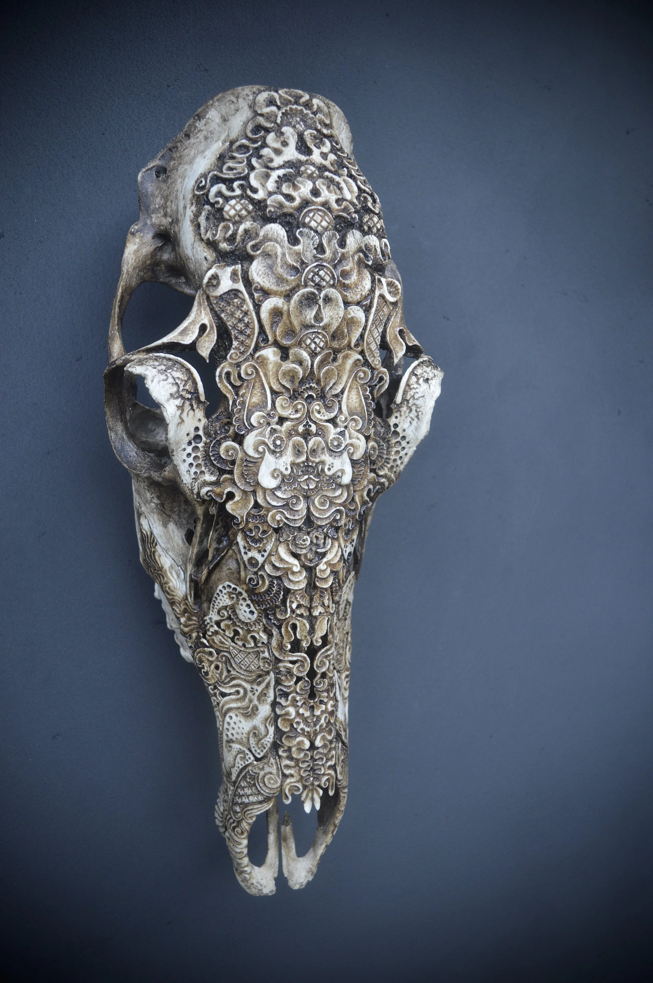 Skull-carving-artist-bone-work.jpg
