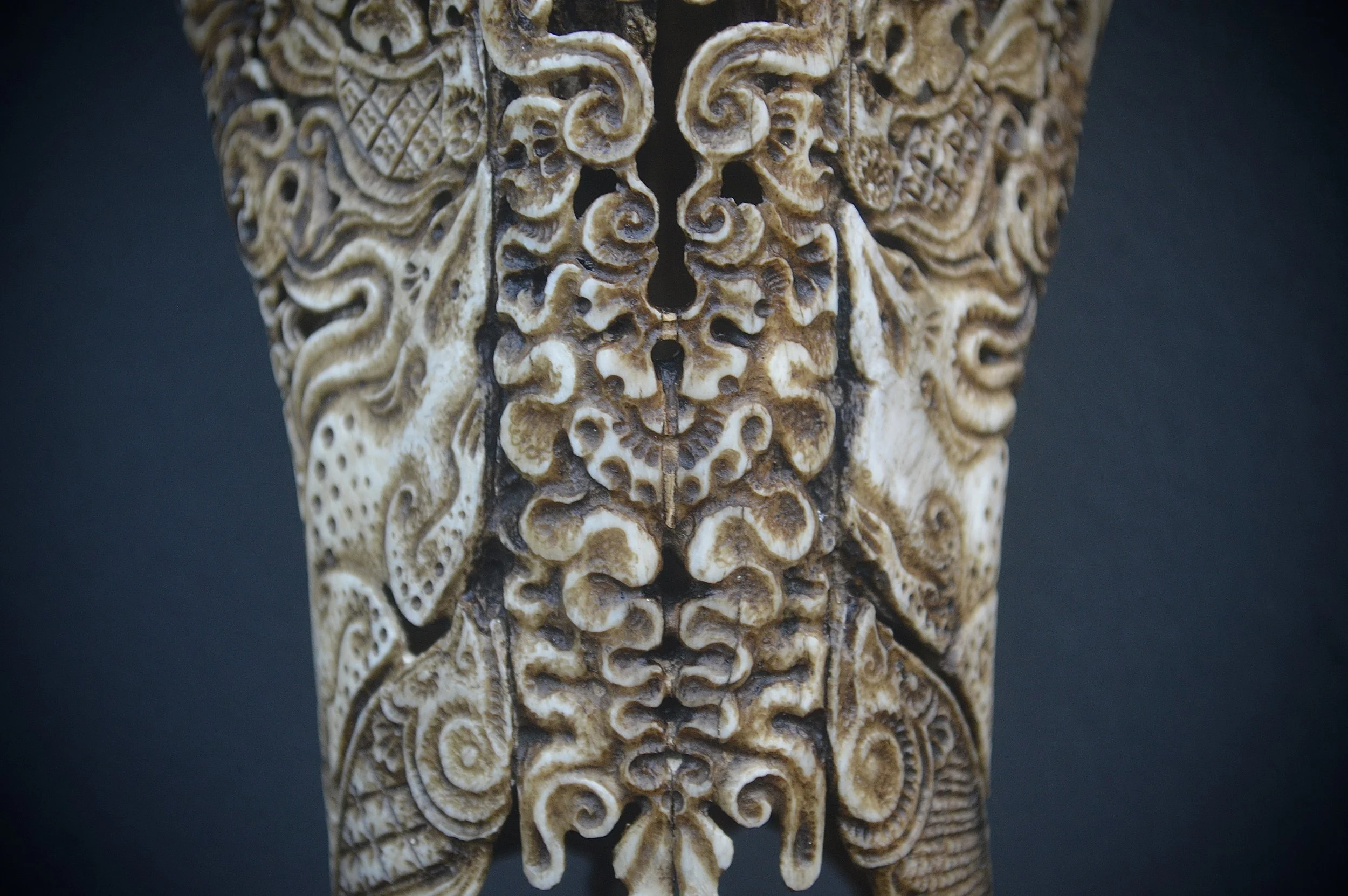 Elk-cow-bat-skull-borders.jpg