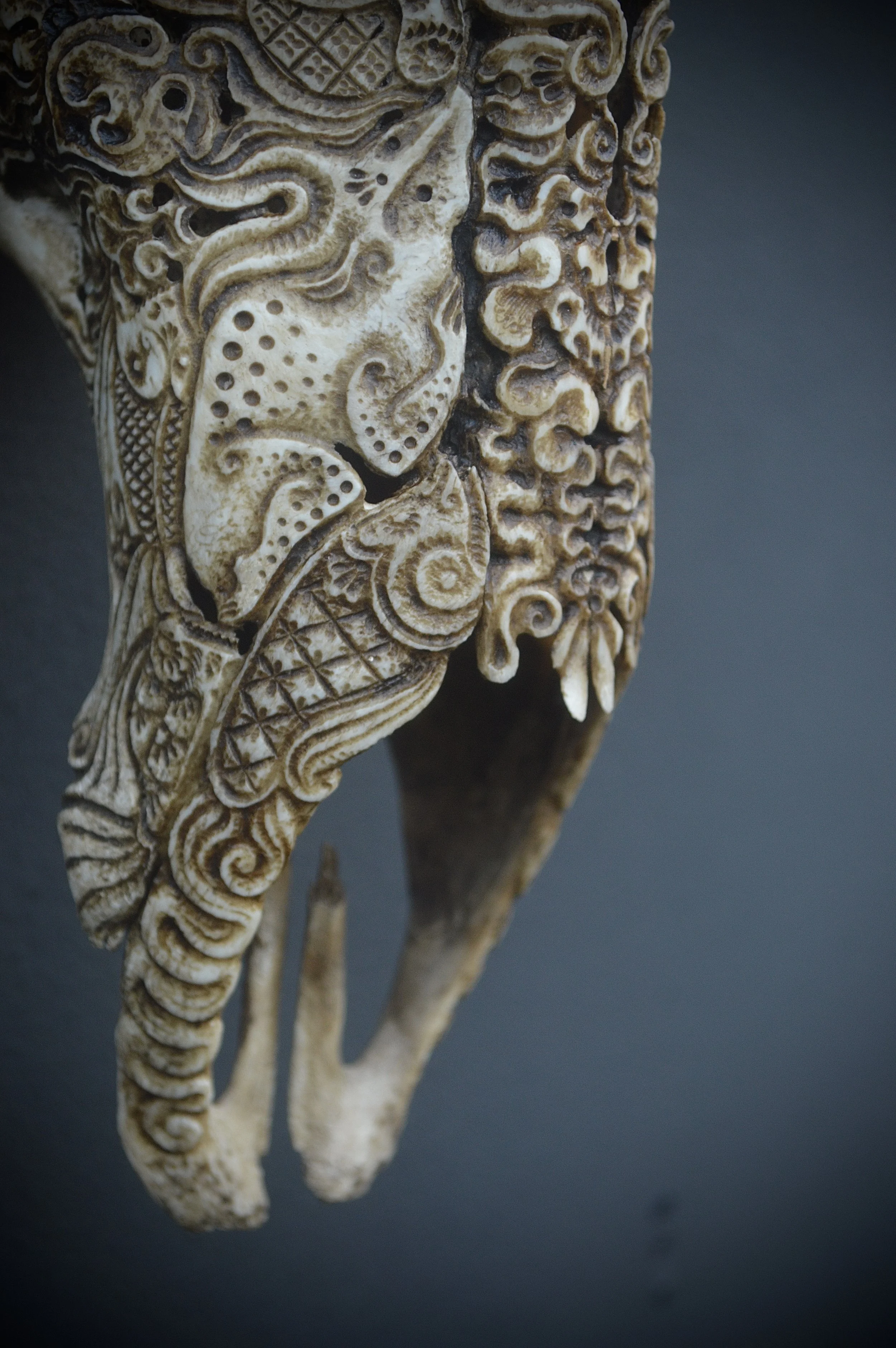 Skull-carving-bones-borders-Jason.jpg