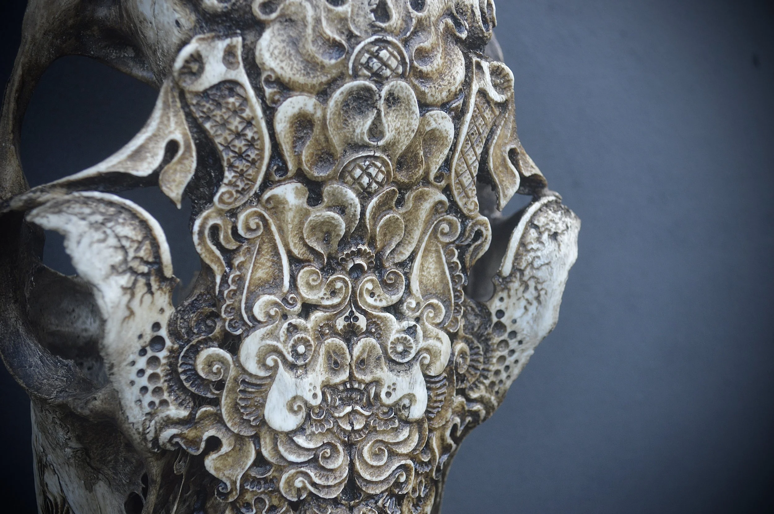 Bat-art-skull-bat-borders.jpg