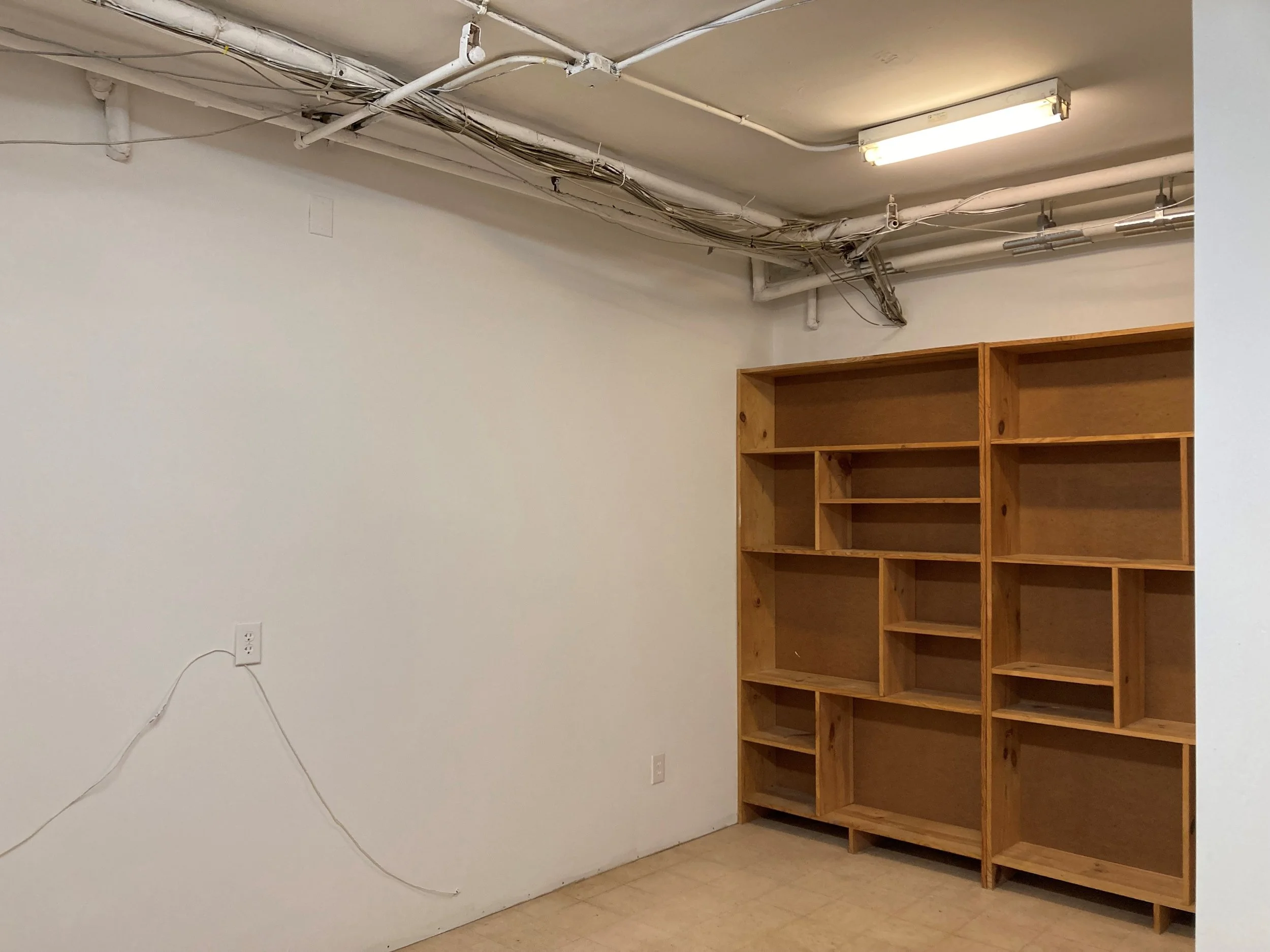 wall with book shelves.jpg
