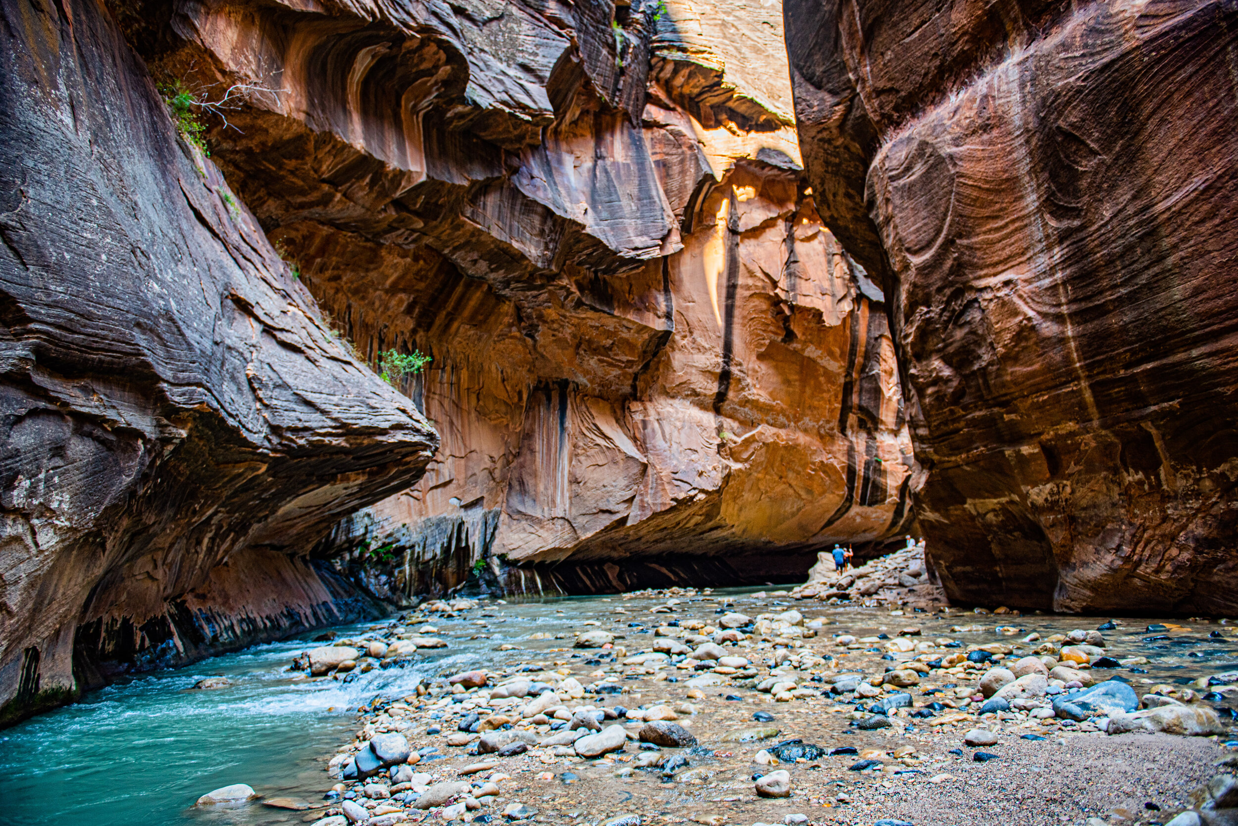 The Narrows - Zion National Park