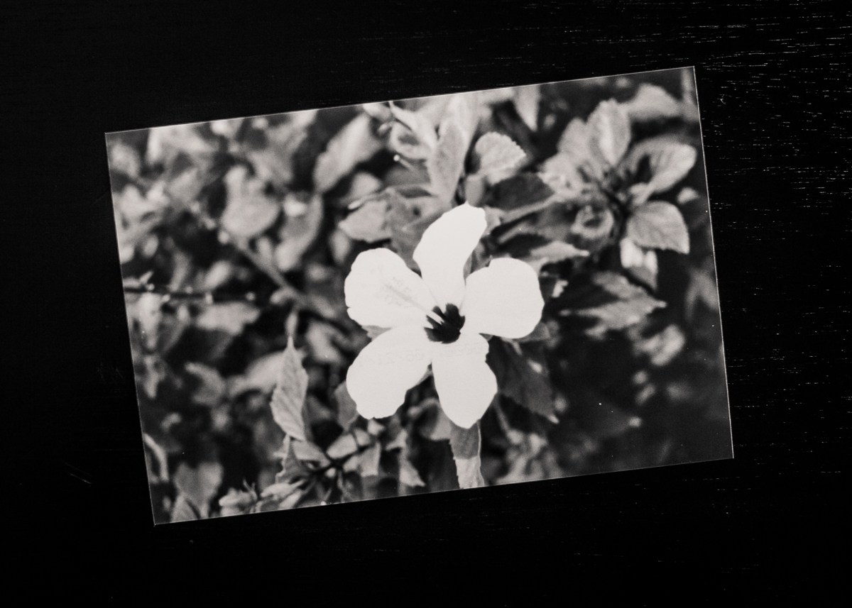 B&W Film Prints Time Capsule-1.jpg