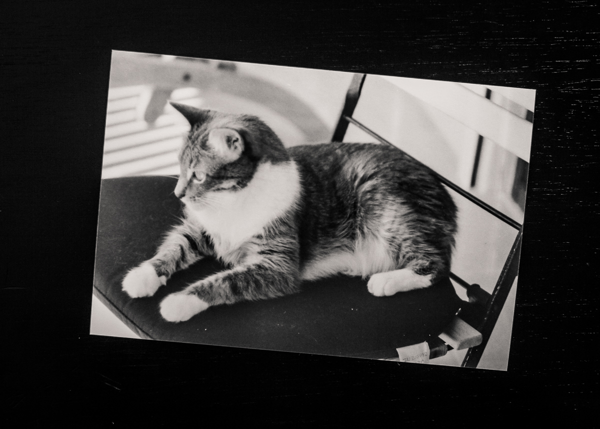 B&W Film Prints Time Capsule-3.jpg