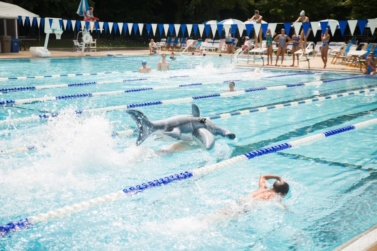 Summer Swim Team | Emily Brunner Photography — Emily Brunner Photography