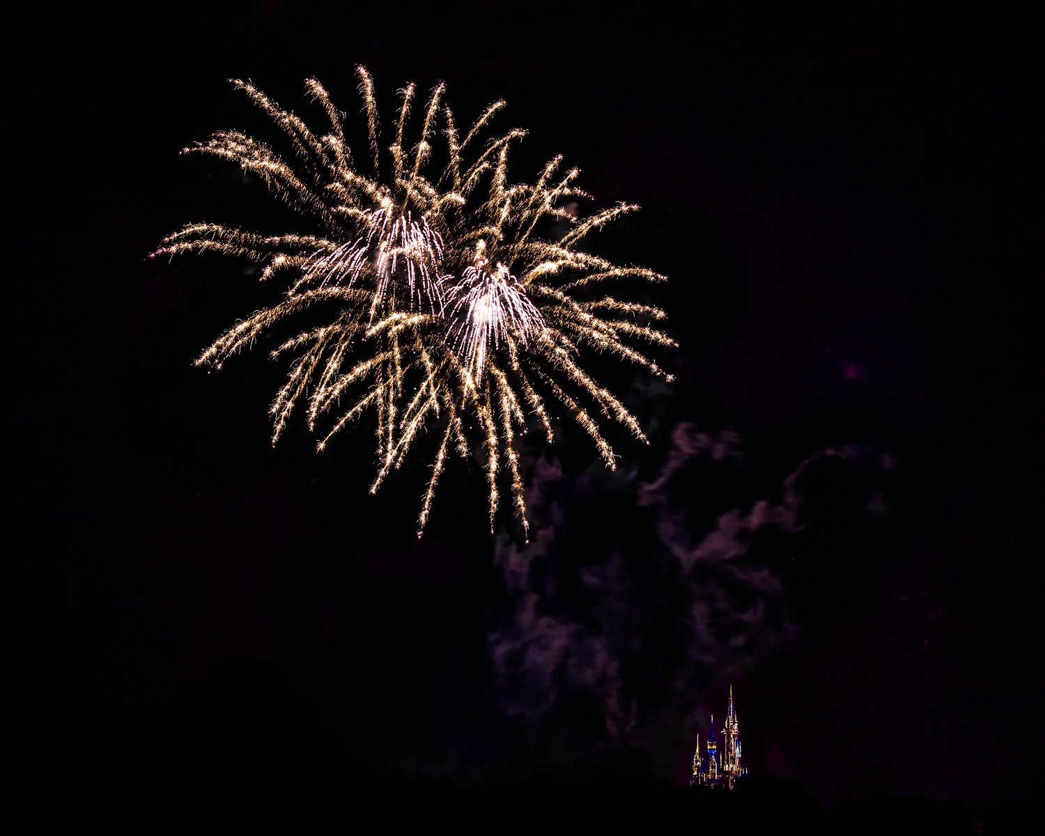 Disney Photography Tips Emily Brunner Photography-7.jpg