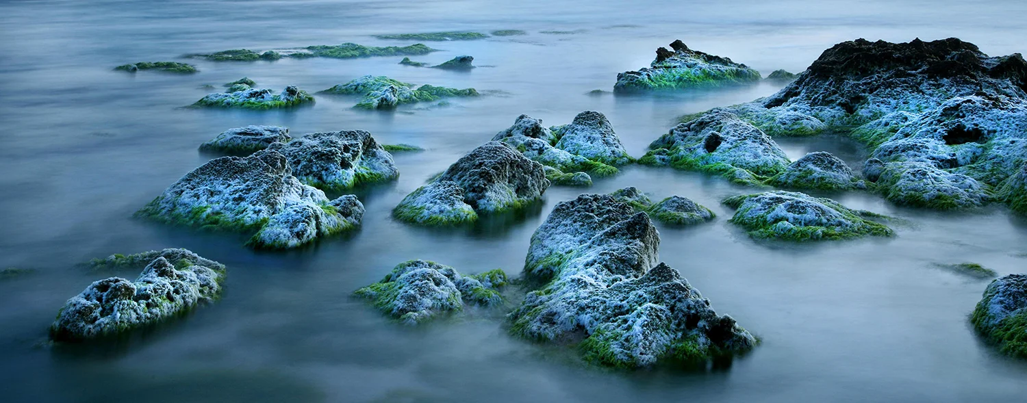 JacquiBatemanPhotoTwilight Tide.jpg