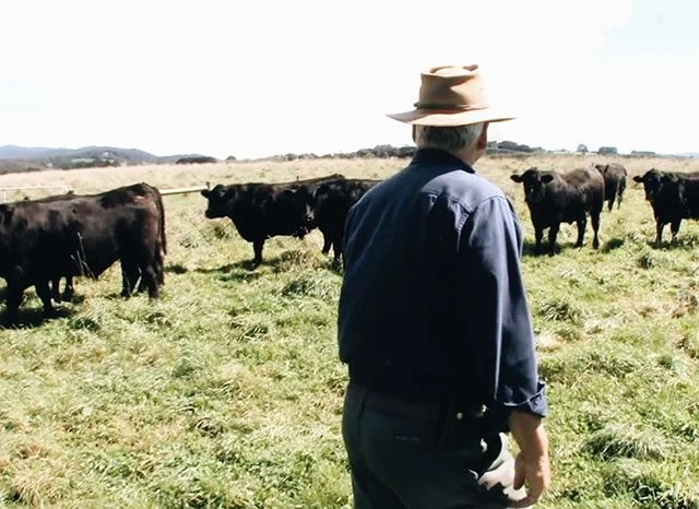 We work with local producers who provide us with bones from grass-fed cattle, free range chickens, sustainably harvested shellfish and pristine vegetables and herbs. Our aim is simple: we want to add depth of flavour to your culinary creations while supporting free range farming and sustainable fishing in Australia.