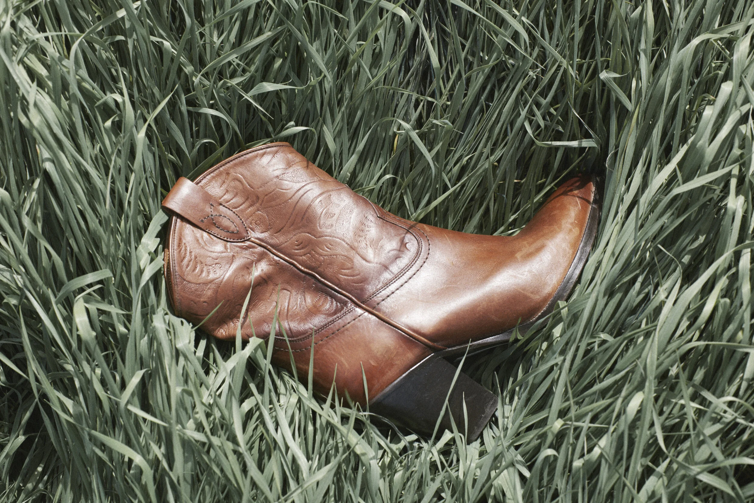 45009AD_STILL_LIFE_ 127.jpg