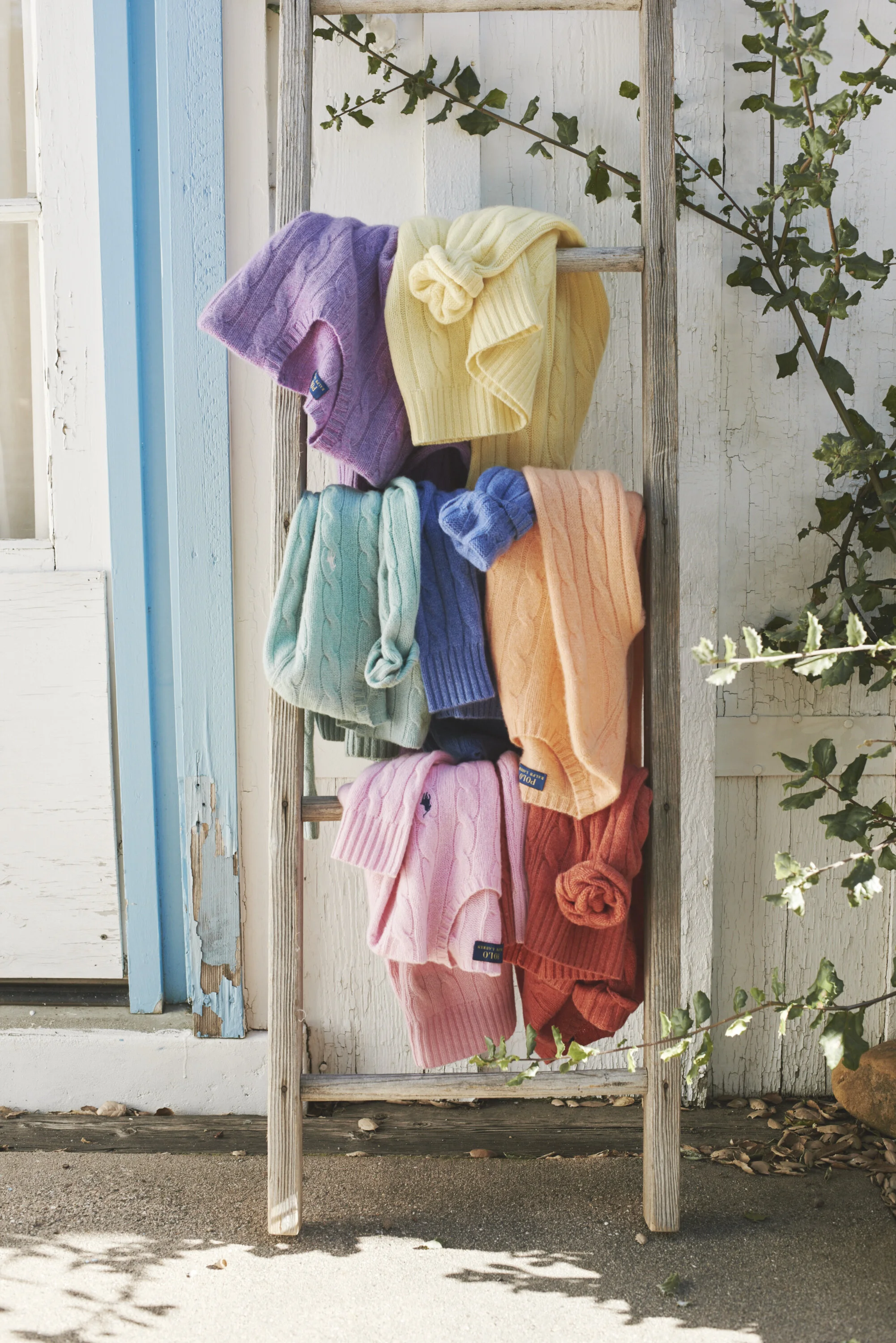 45009AD_STILL_LIFE_ 307.jpg