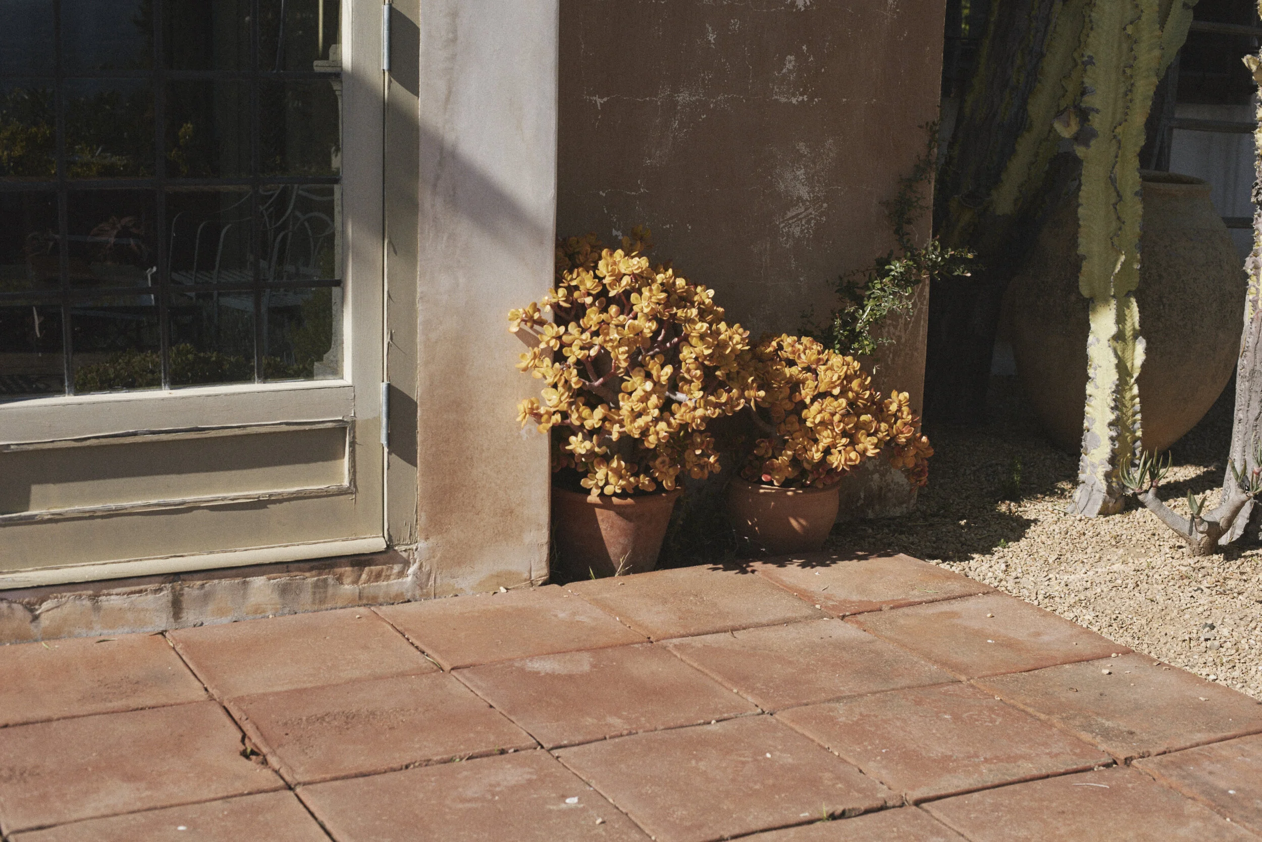 45009AD_STILL_LIFE_ 505.jpg