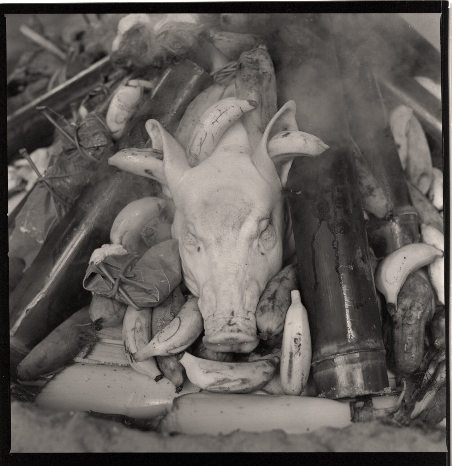 BUMMY_HASSY_TRIX 15.jpg