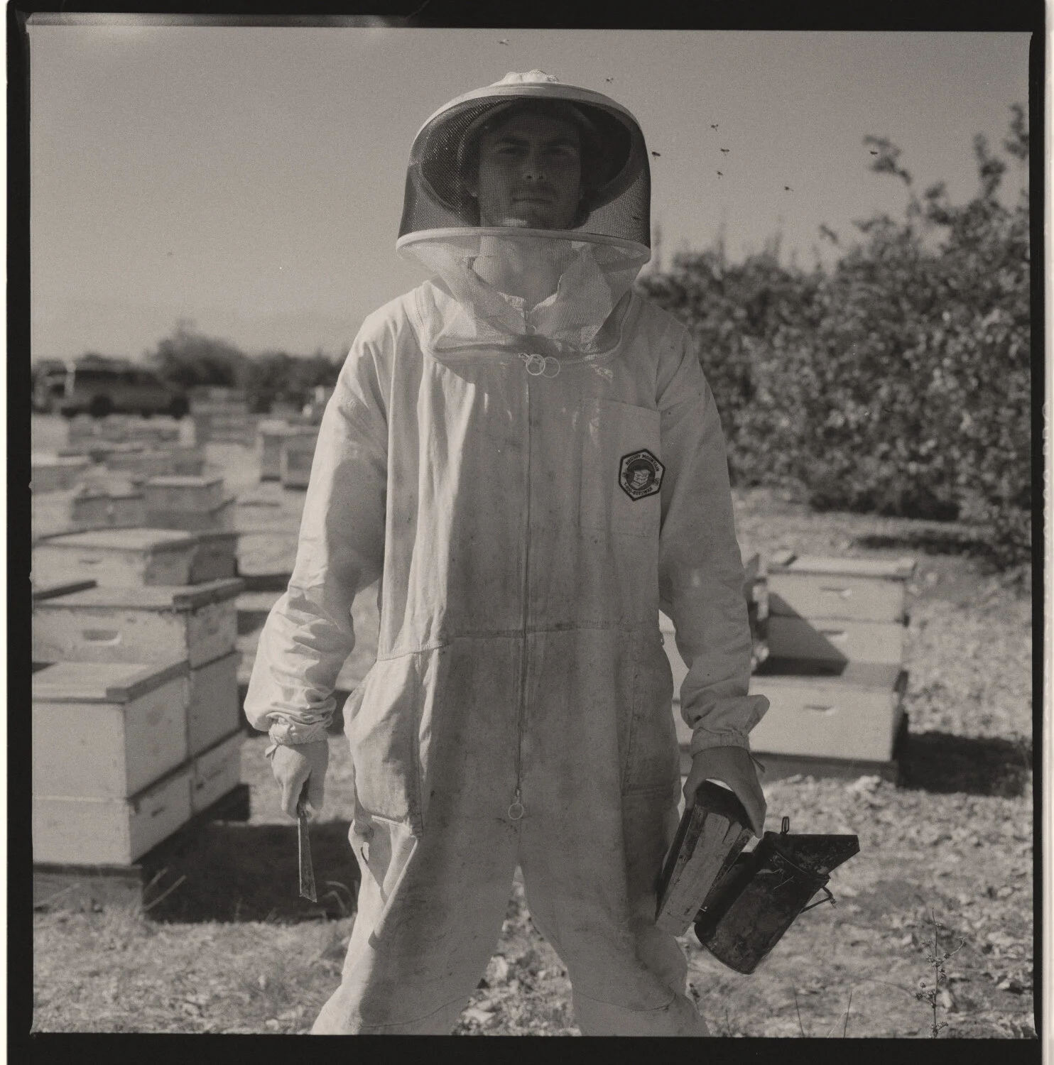 BUMMY_HASSY_TRIX 23.jpg